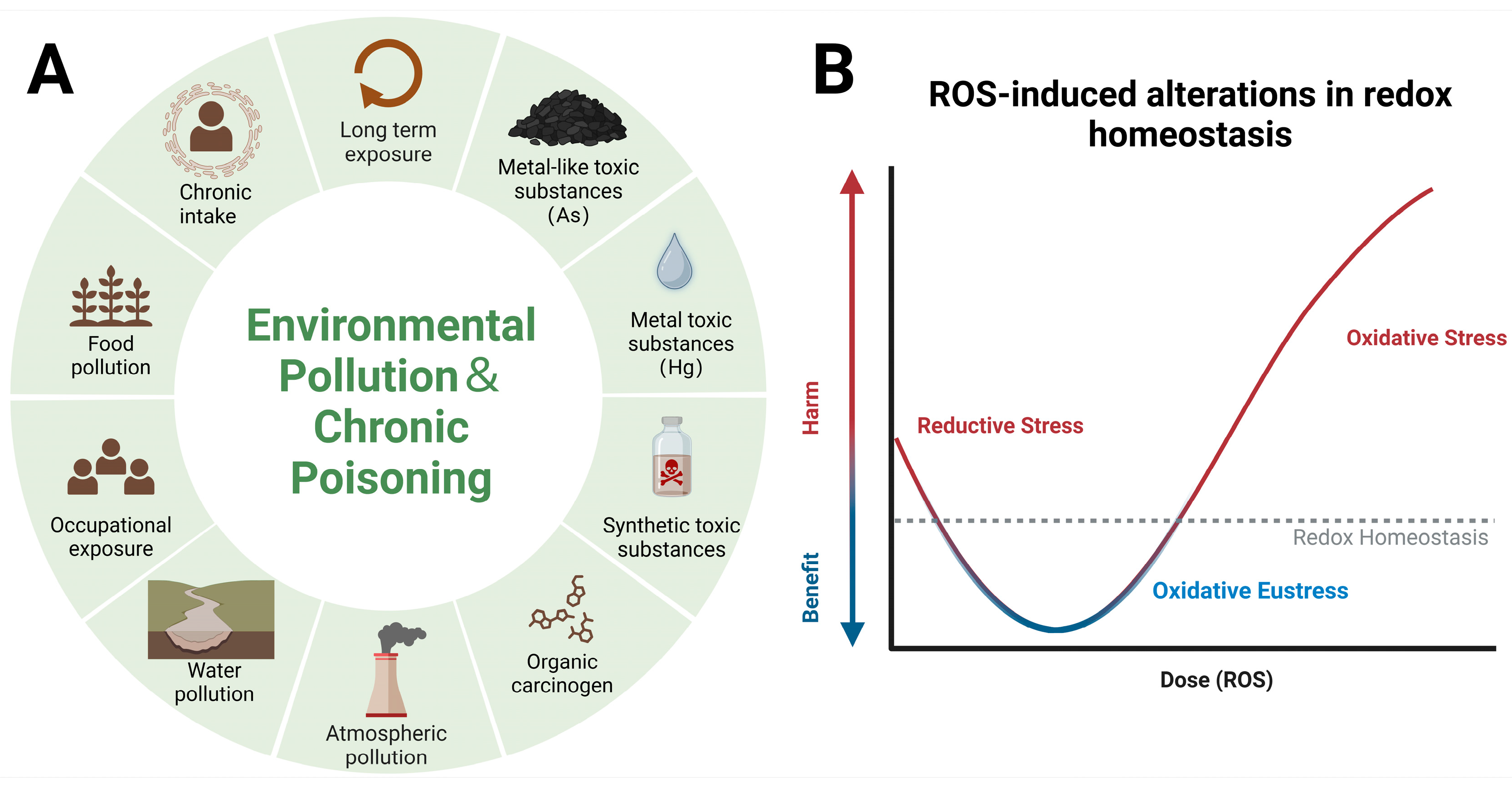 Antioxidants 13 00897 g003