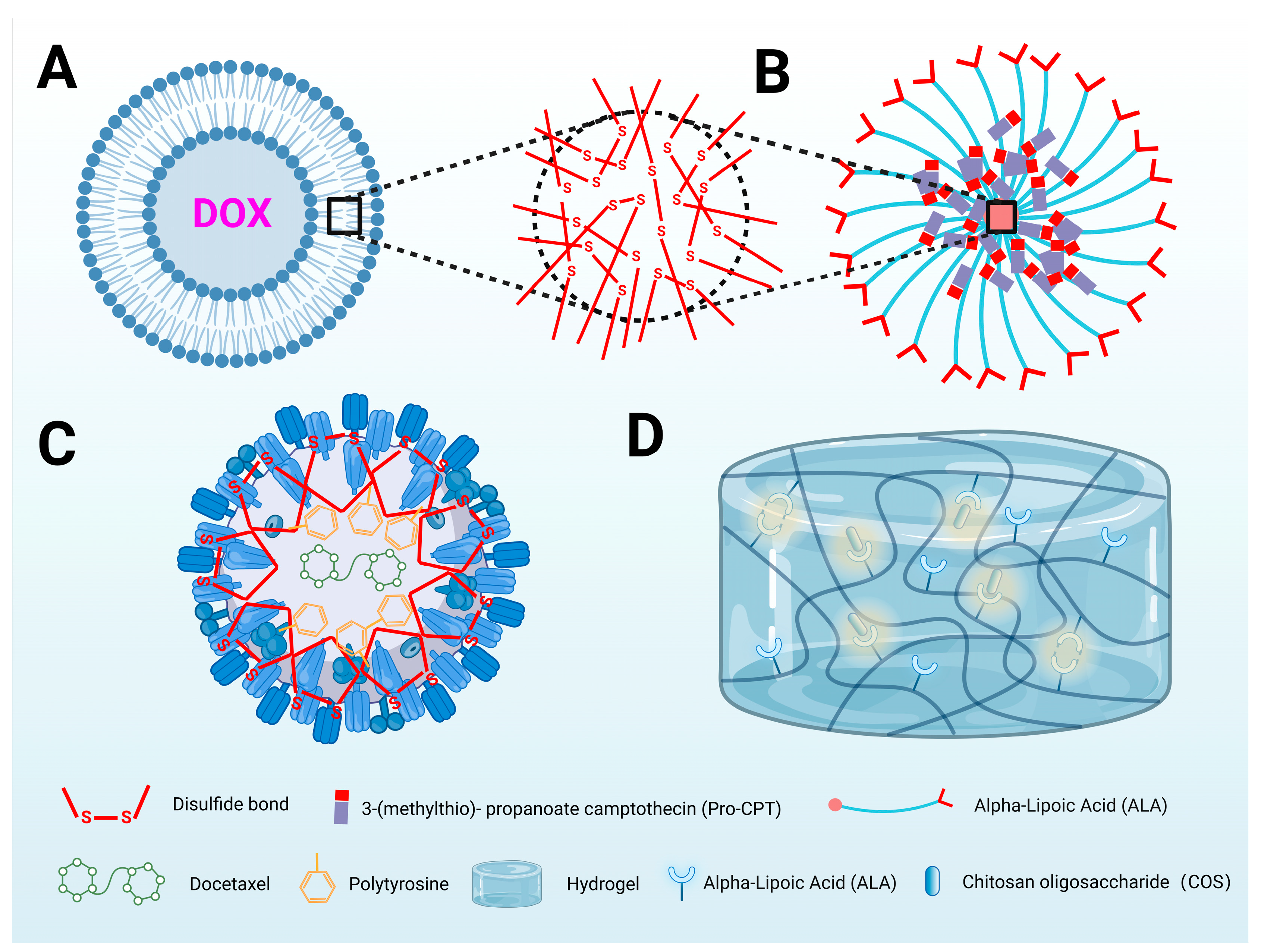 Antioxidants 13 00897 g005