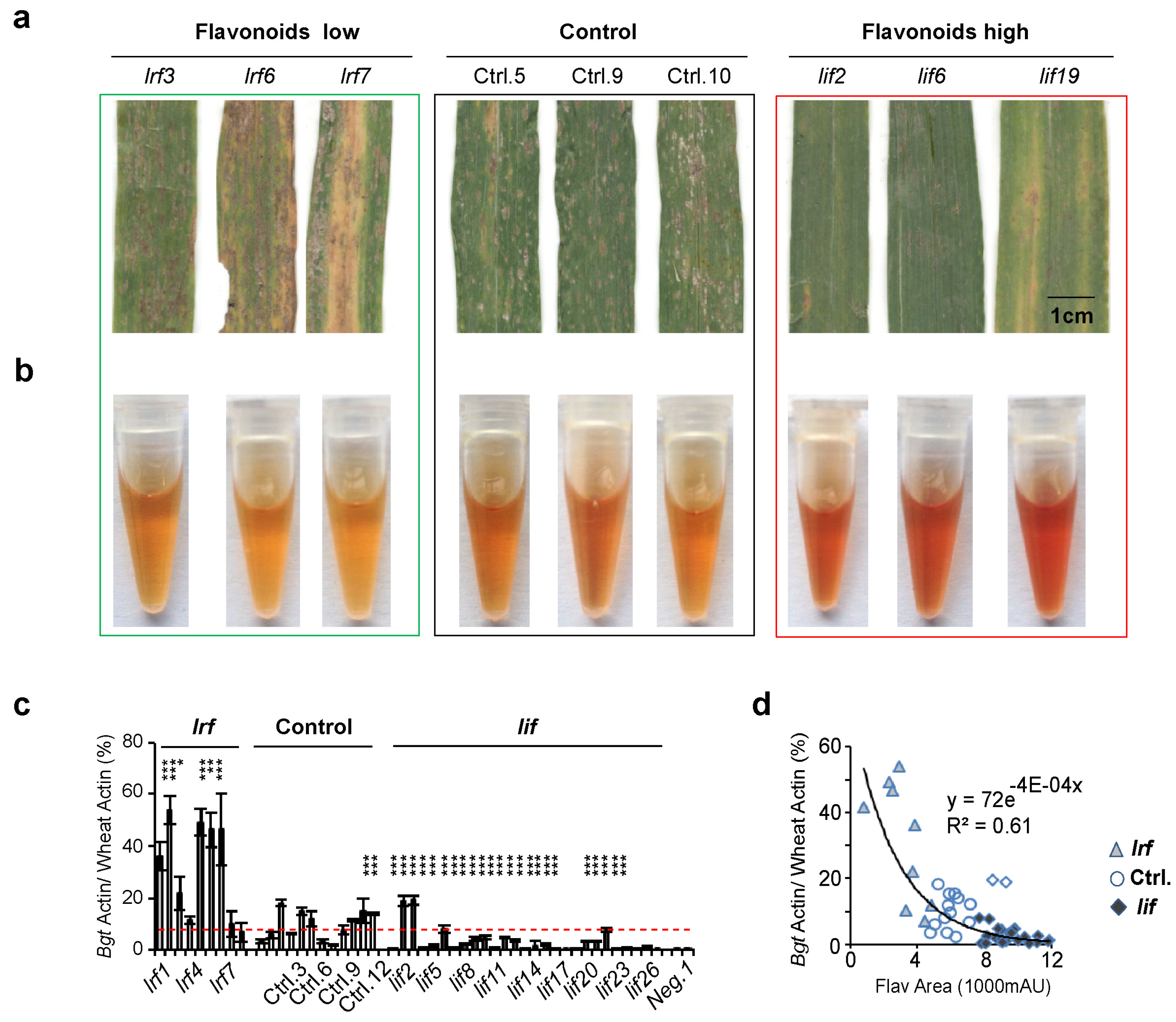 Antioxidants 13 00899 g004