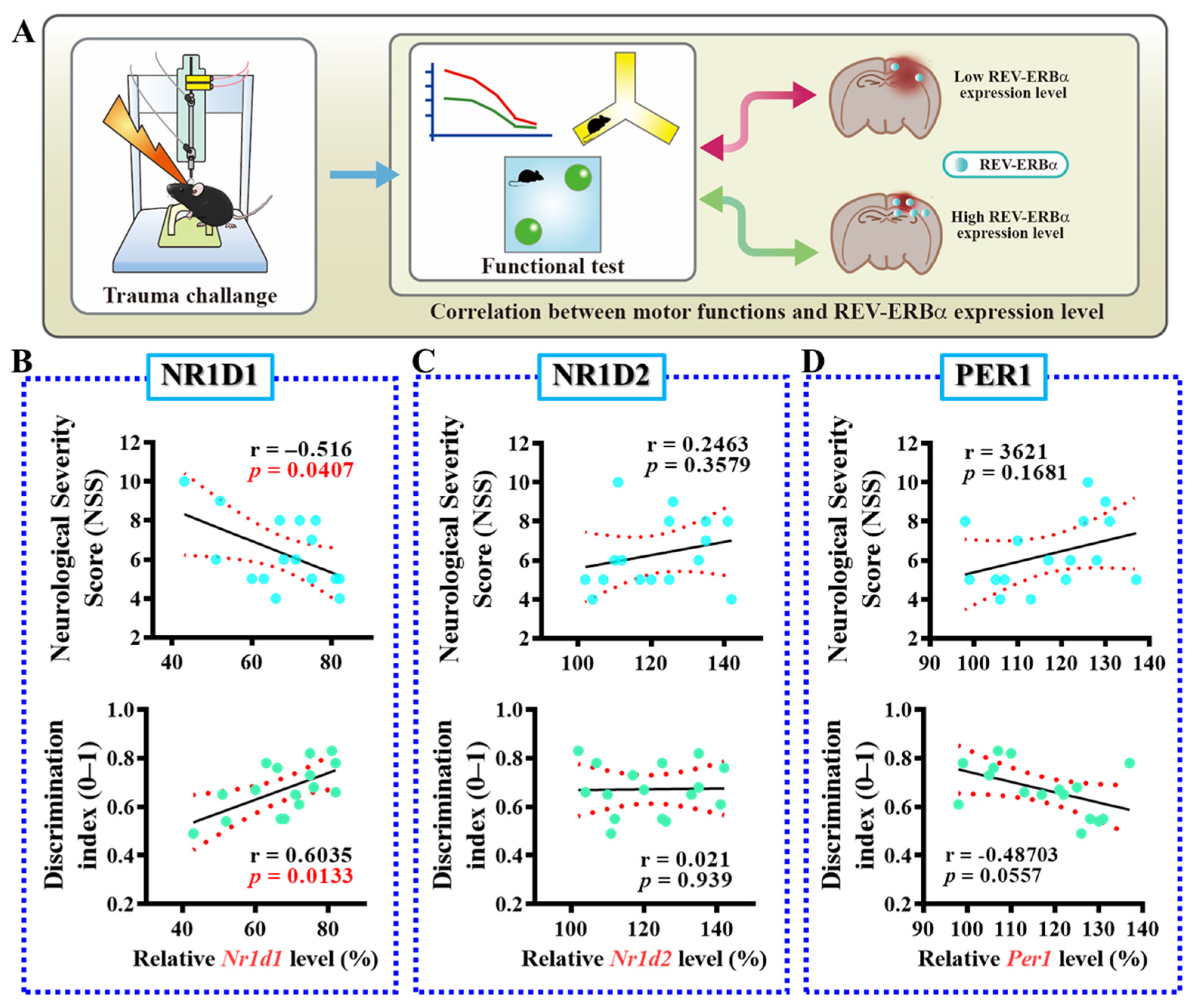 Antioxidants 13 00901 g002