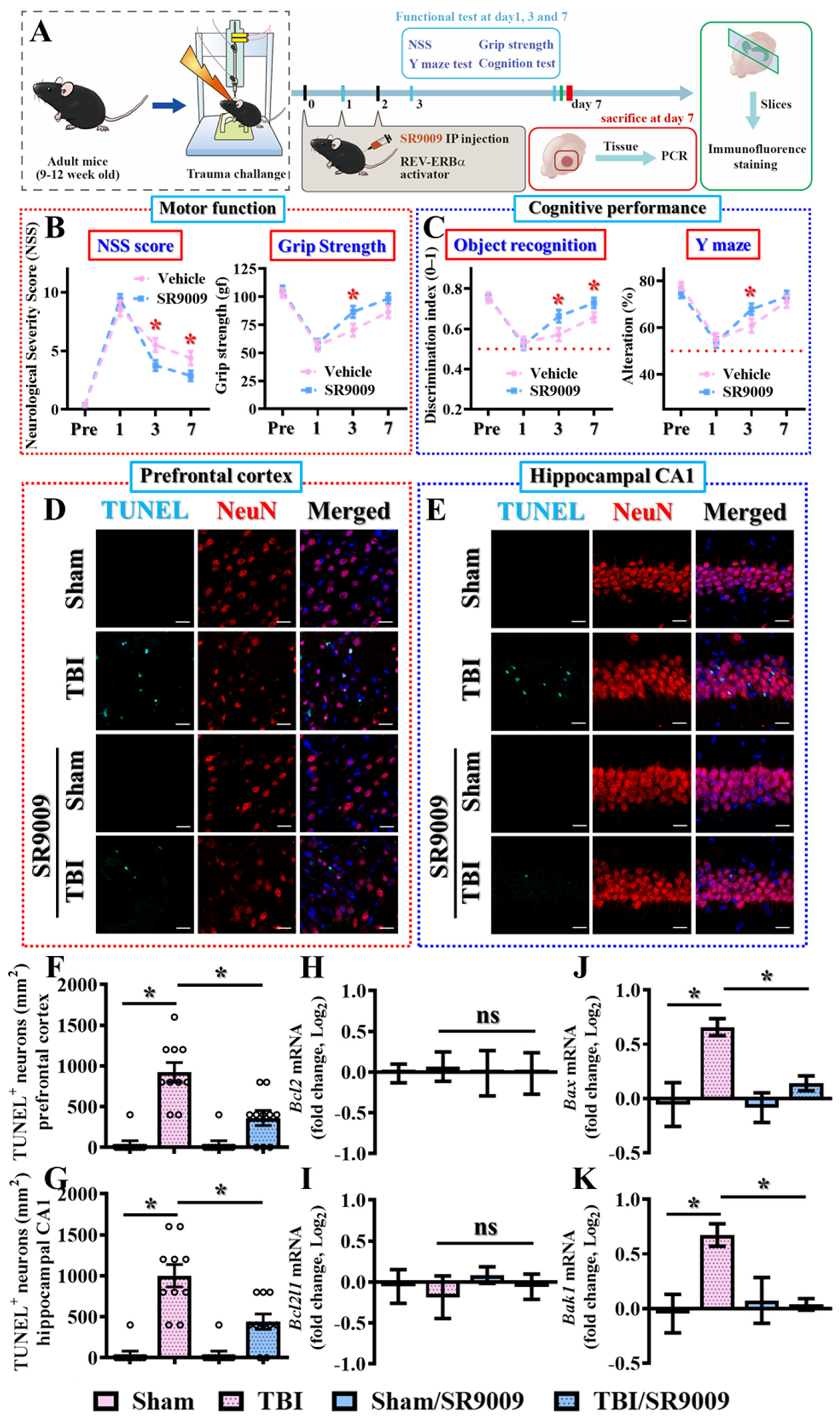 Antioxidants 13 00901 g004