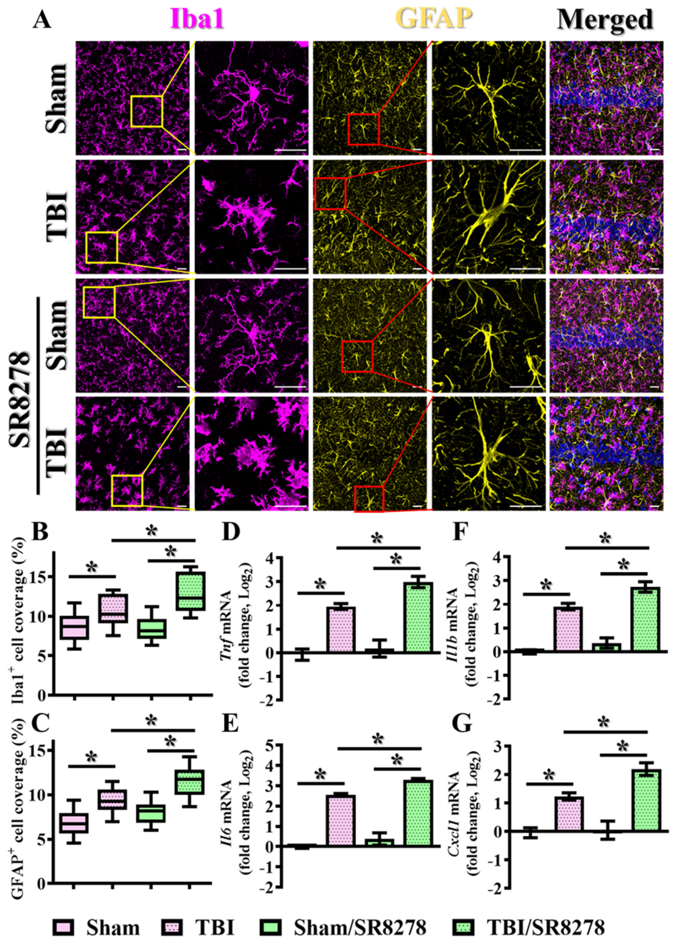 Antioxidants 13 00901 g005