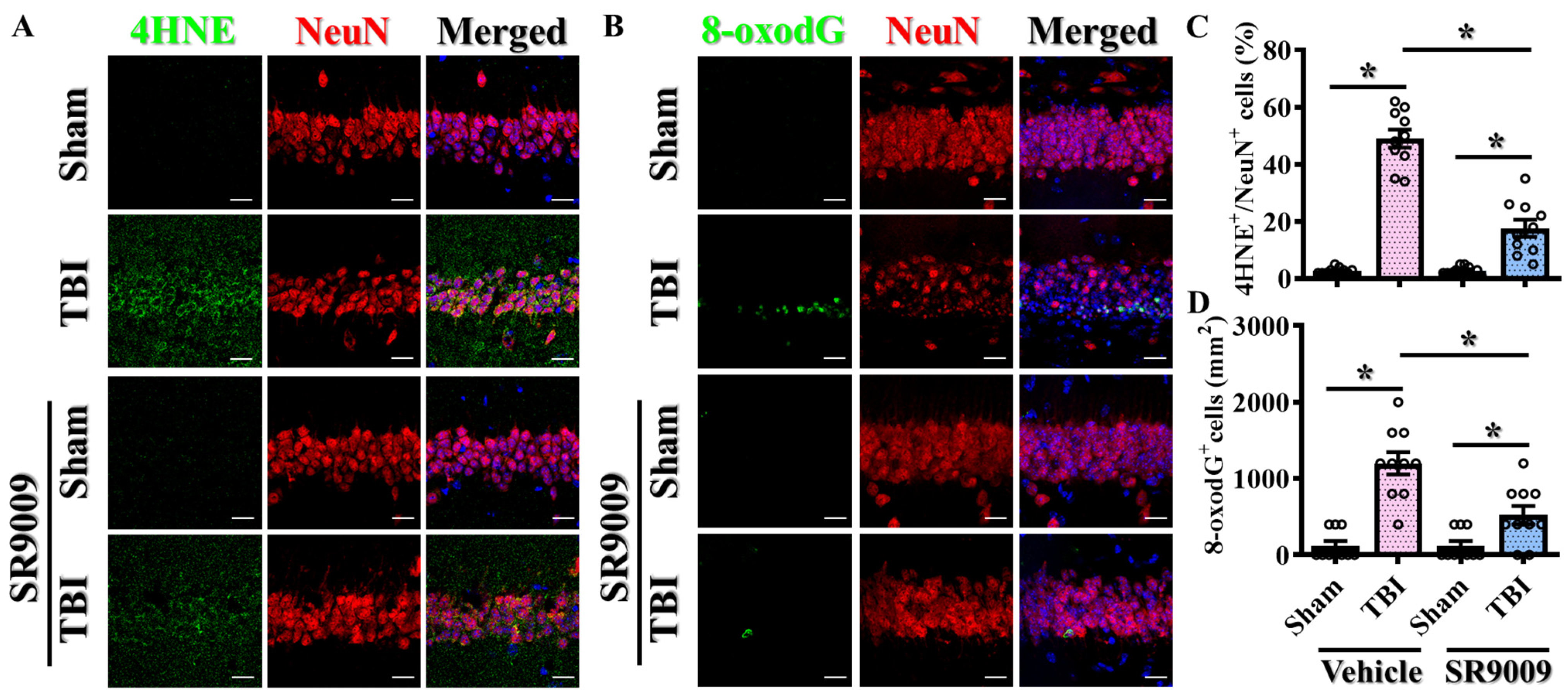 Antioxidants 13 00901 g008