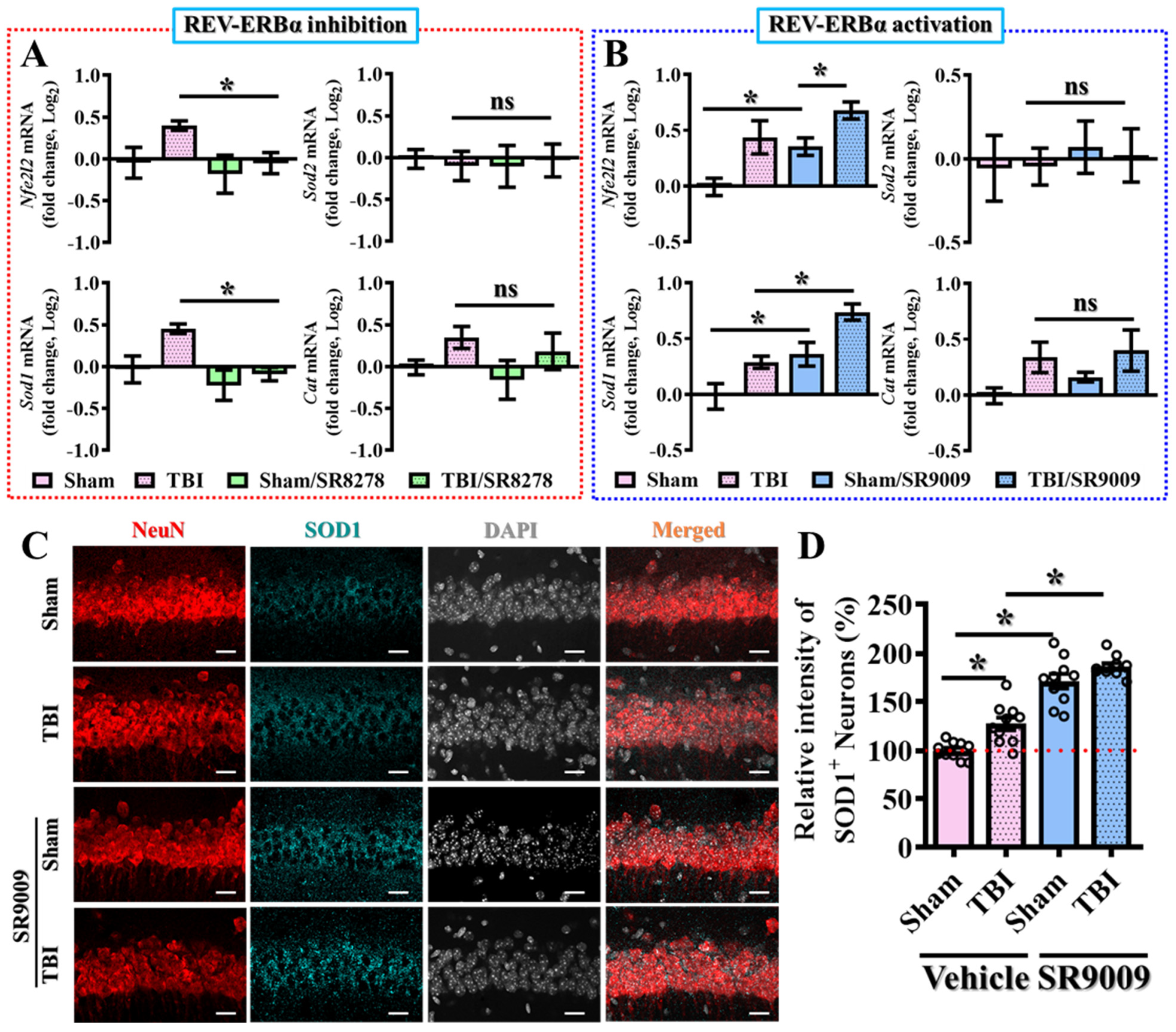 Antioxidants 13 00901 g009