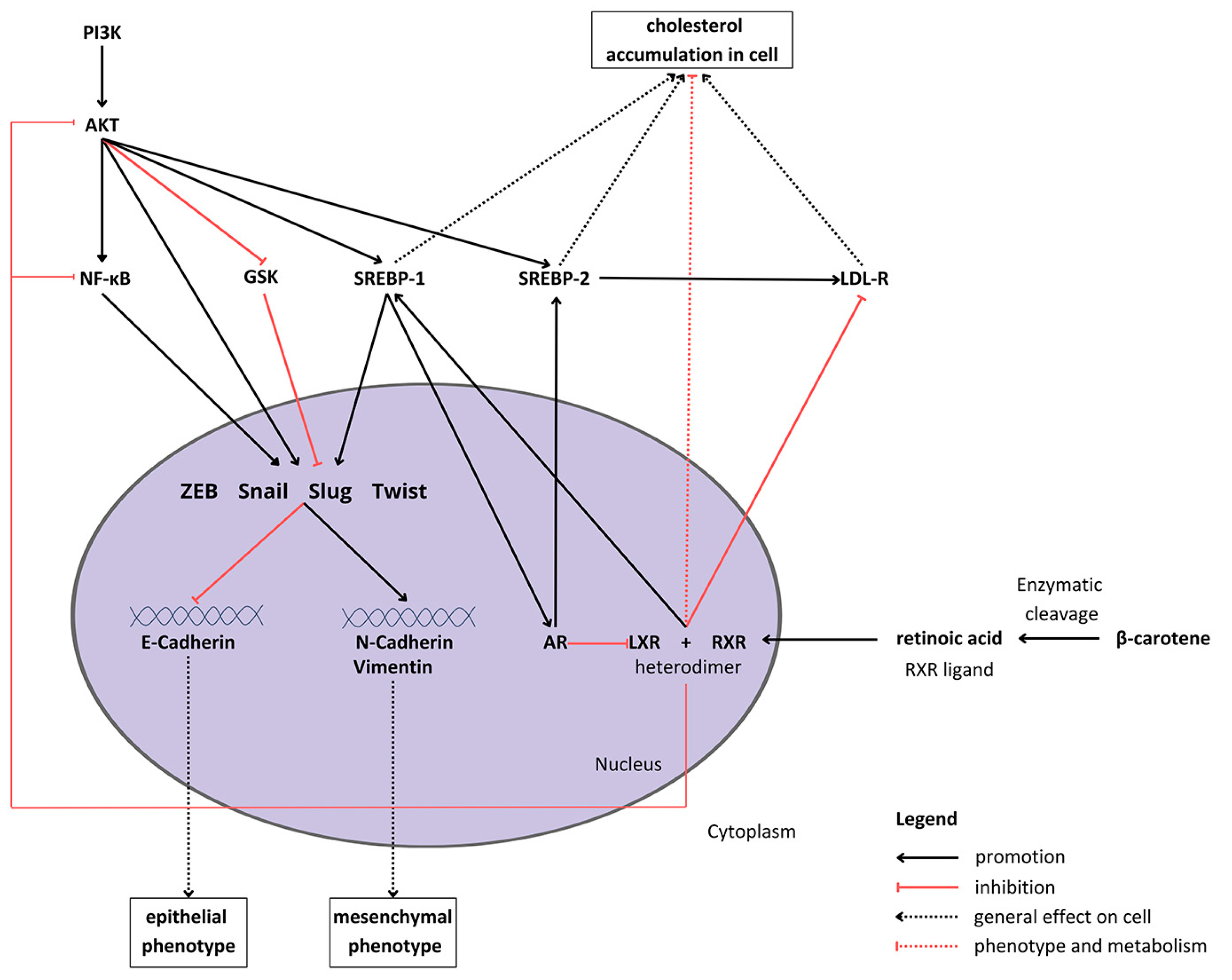 Antioxidants 13 00902 g001