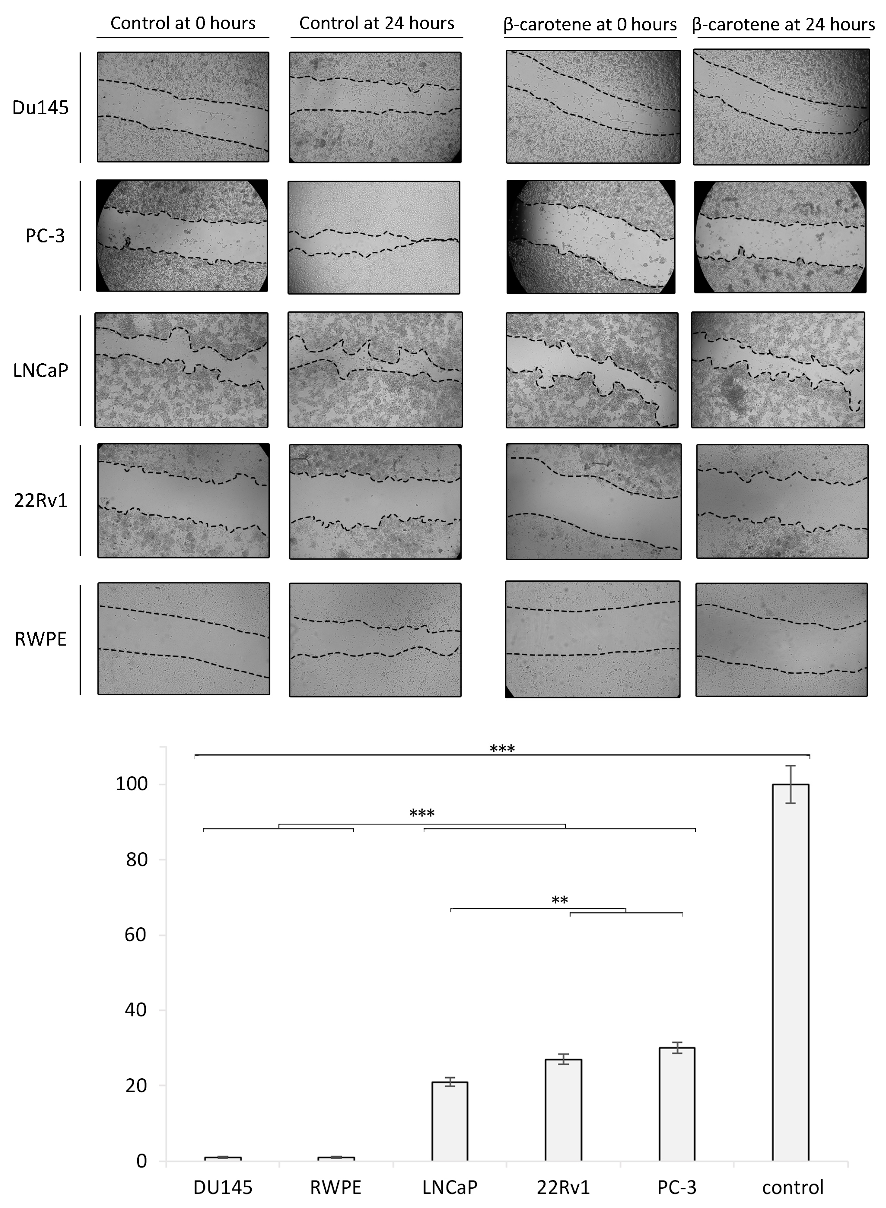 Antioxidants 13 00902 g006