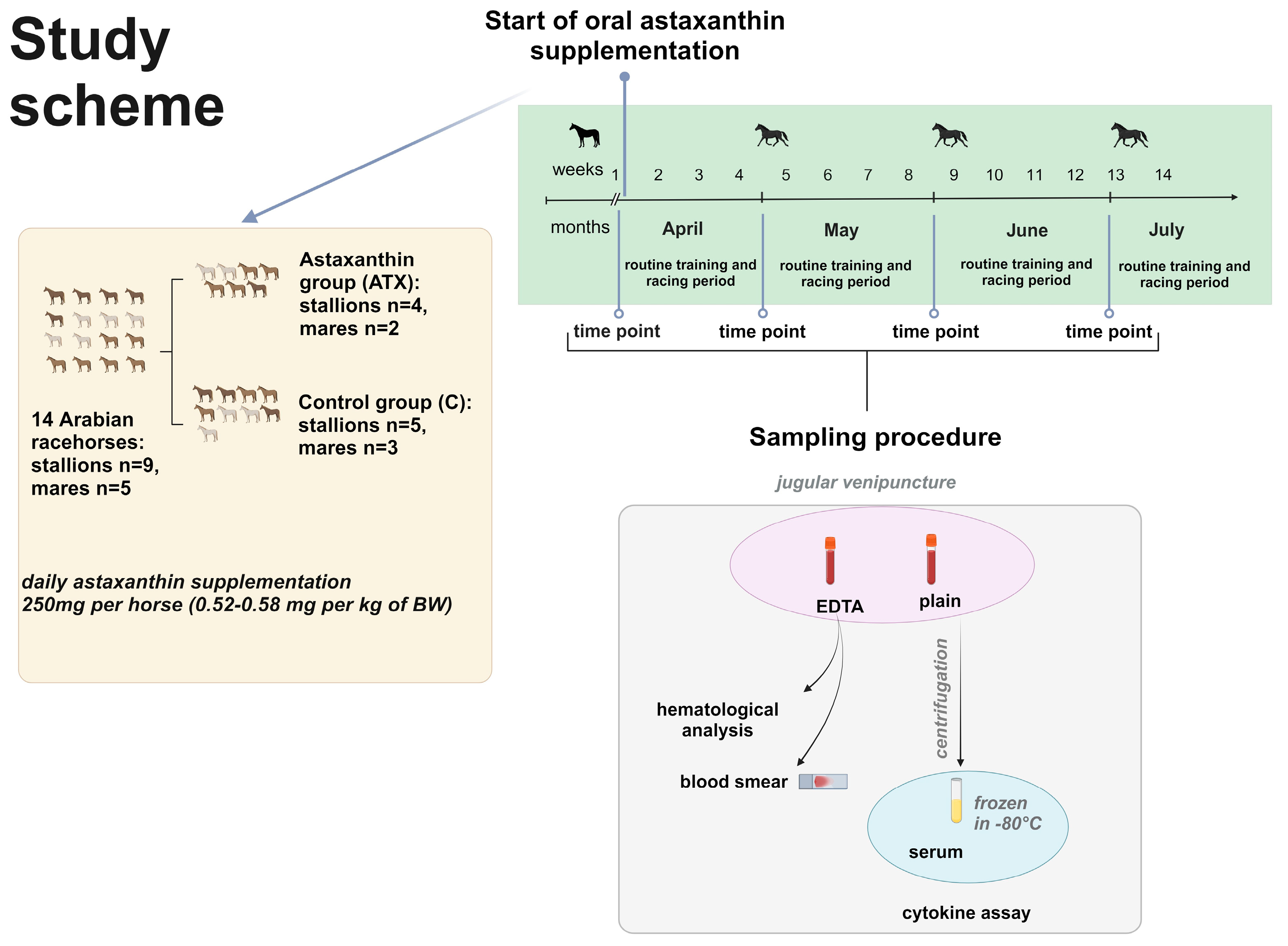 Antioxidants 13 00905 g001