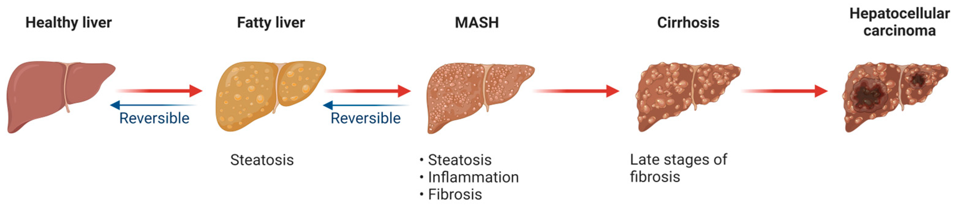 Antioxidants 13 00906 g001