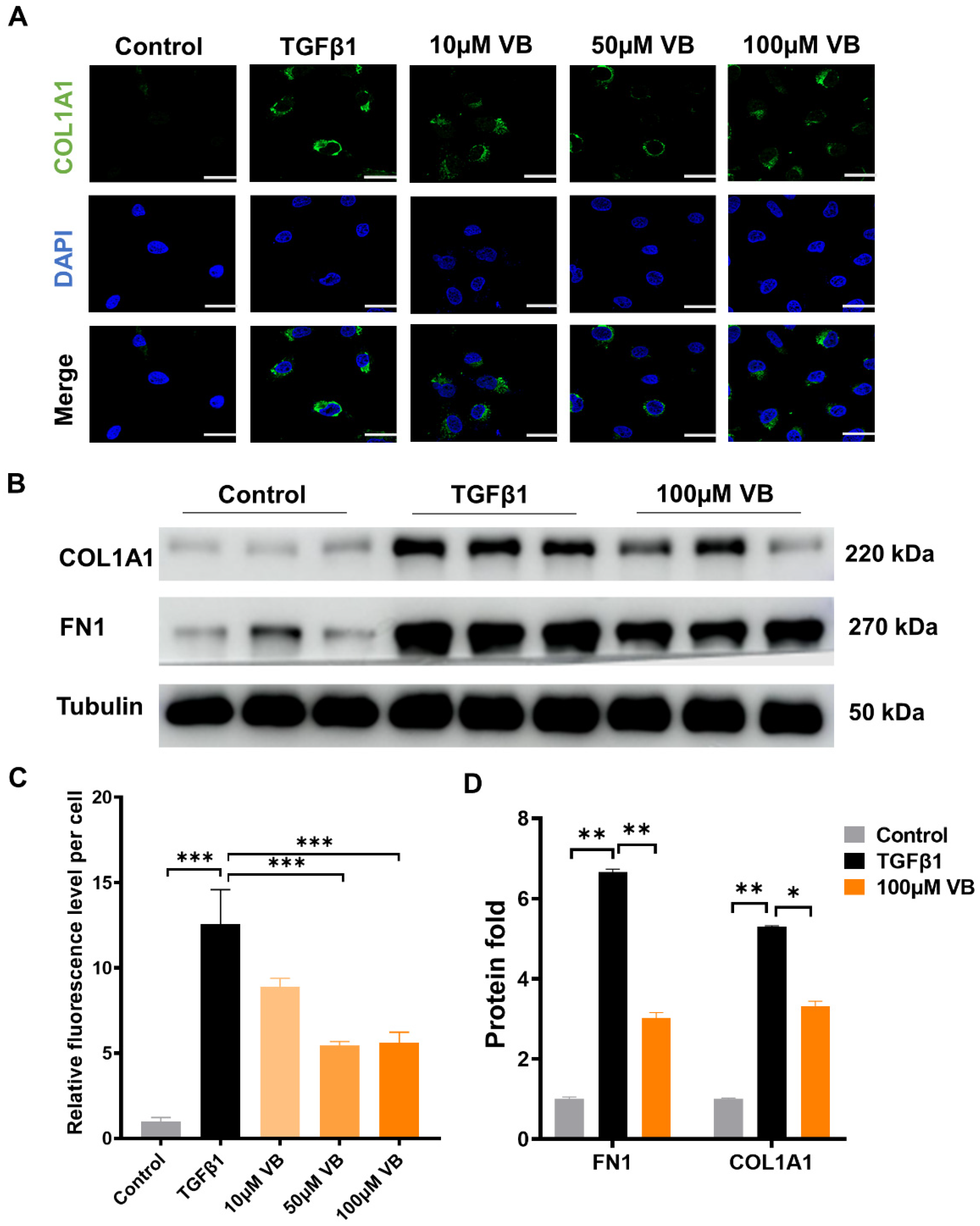 Antioxidants 13 00907 g002