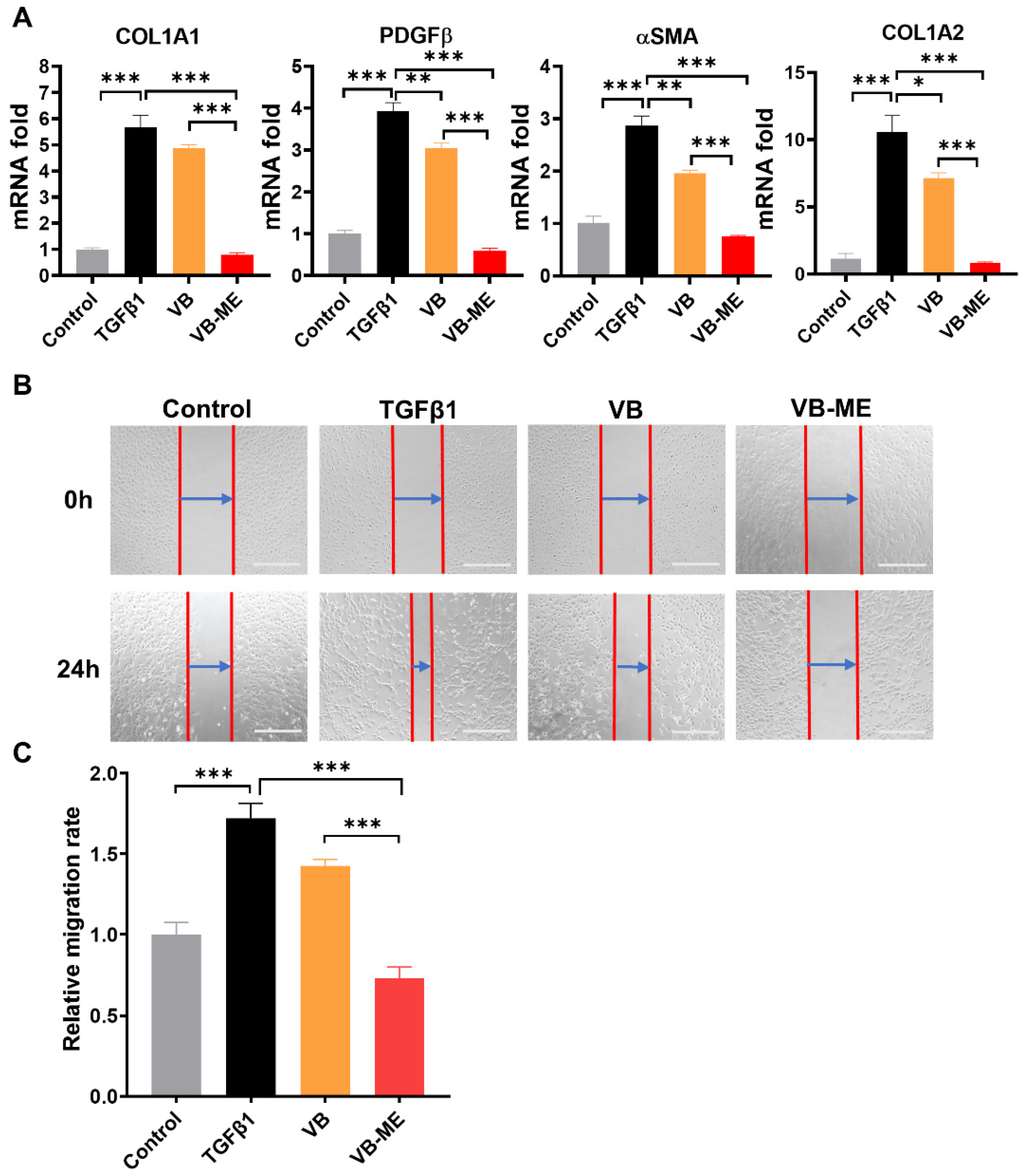 Antioxidants 13 00907 g006
