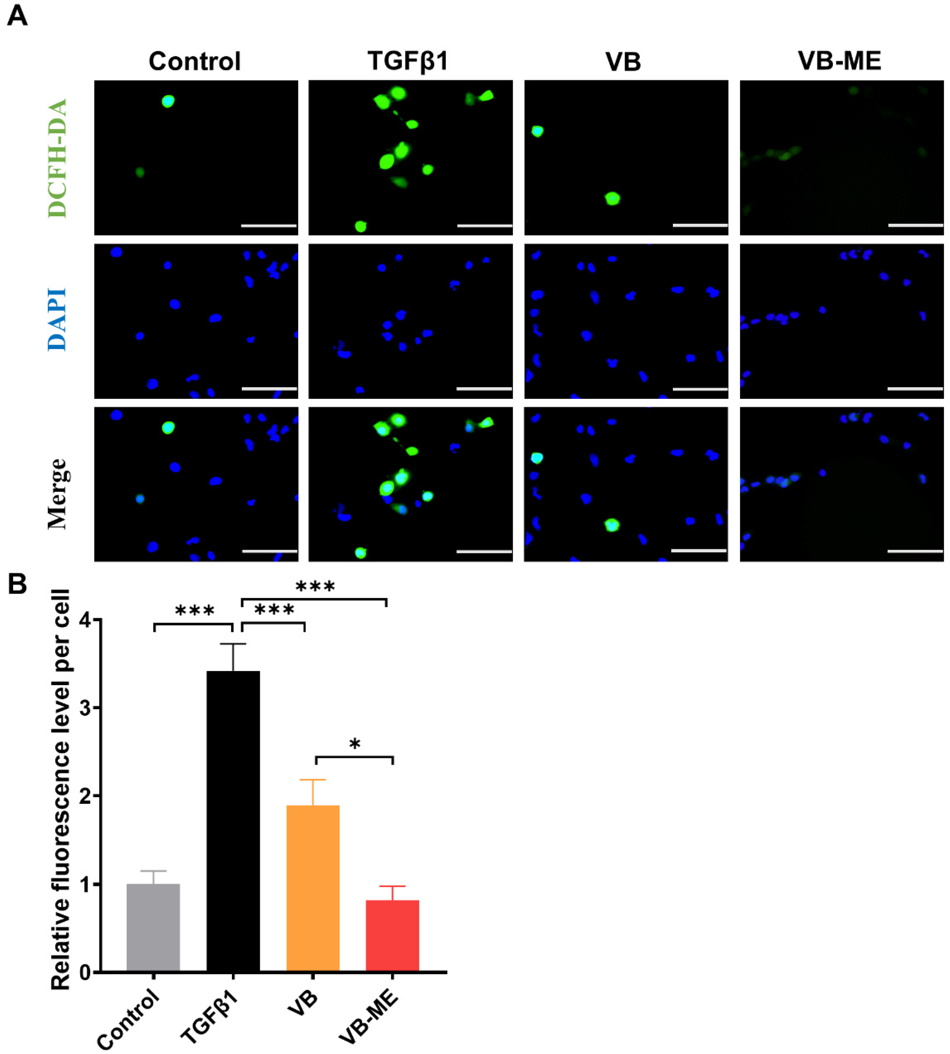 Antioxidants 13 00907 g008