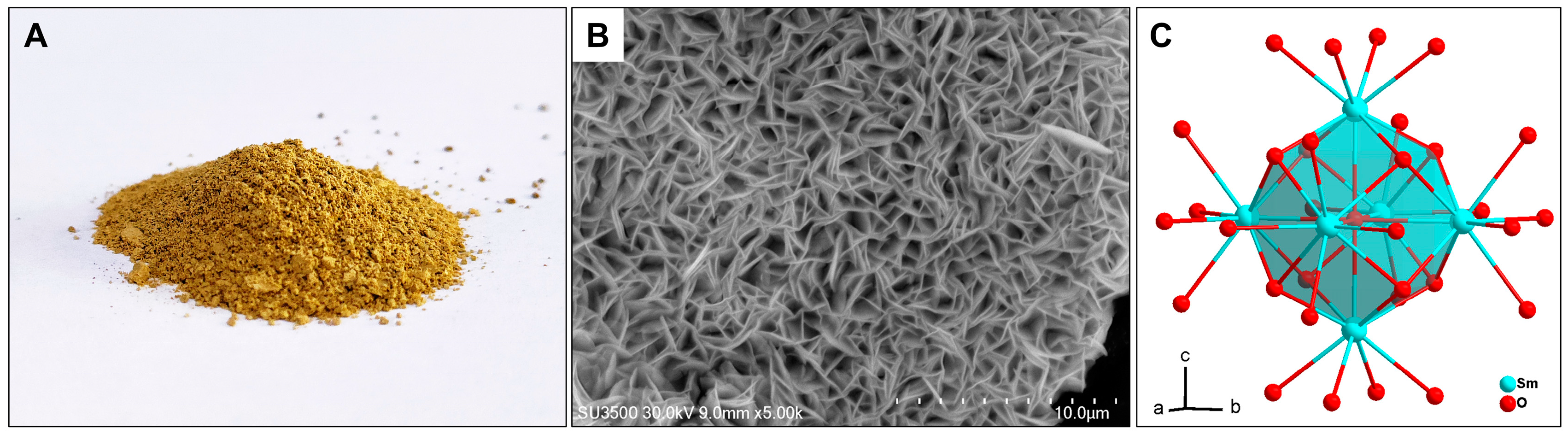 Antioxidants 13 00910 g002 Antioxidants 13 00910 g002