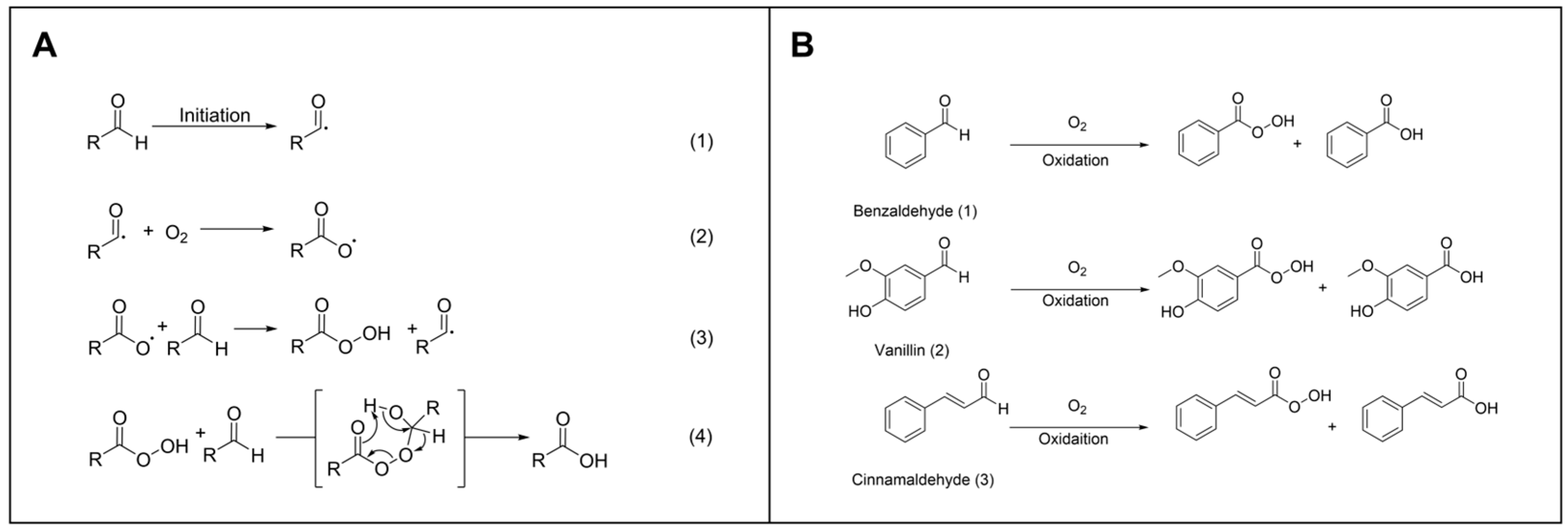 Antioxidants 13 00910 g003 Antioxidants 13 00910 g003