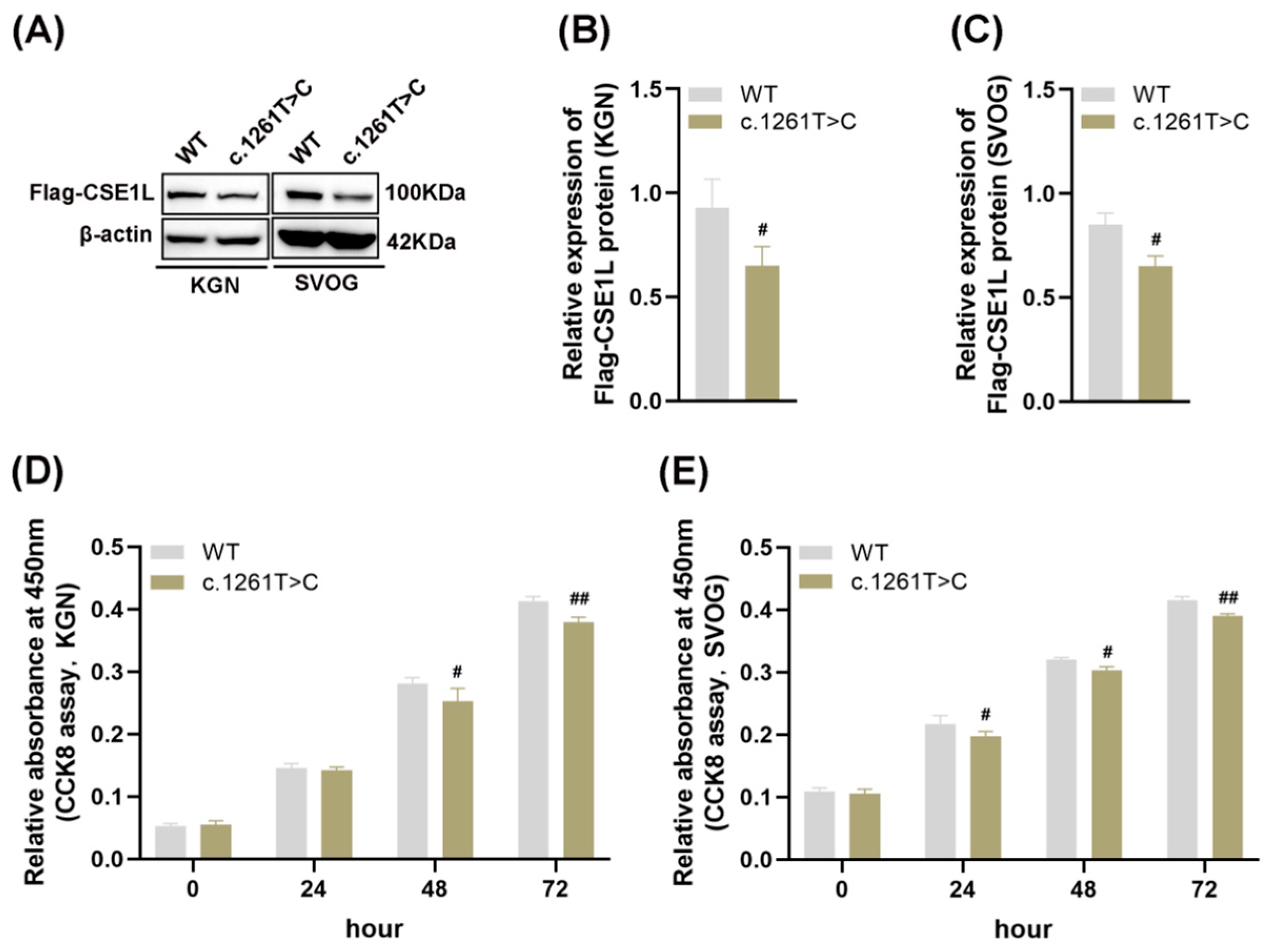 Antioxidants 13 00911 g002