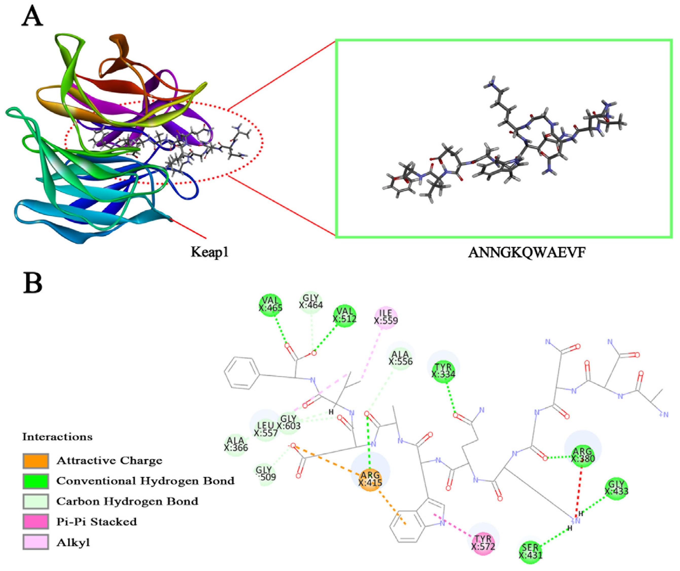 Antioxidants 13 00913 g001