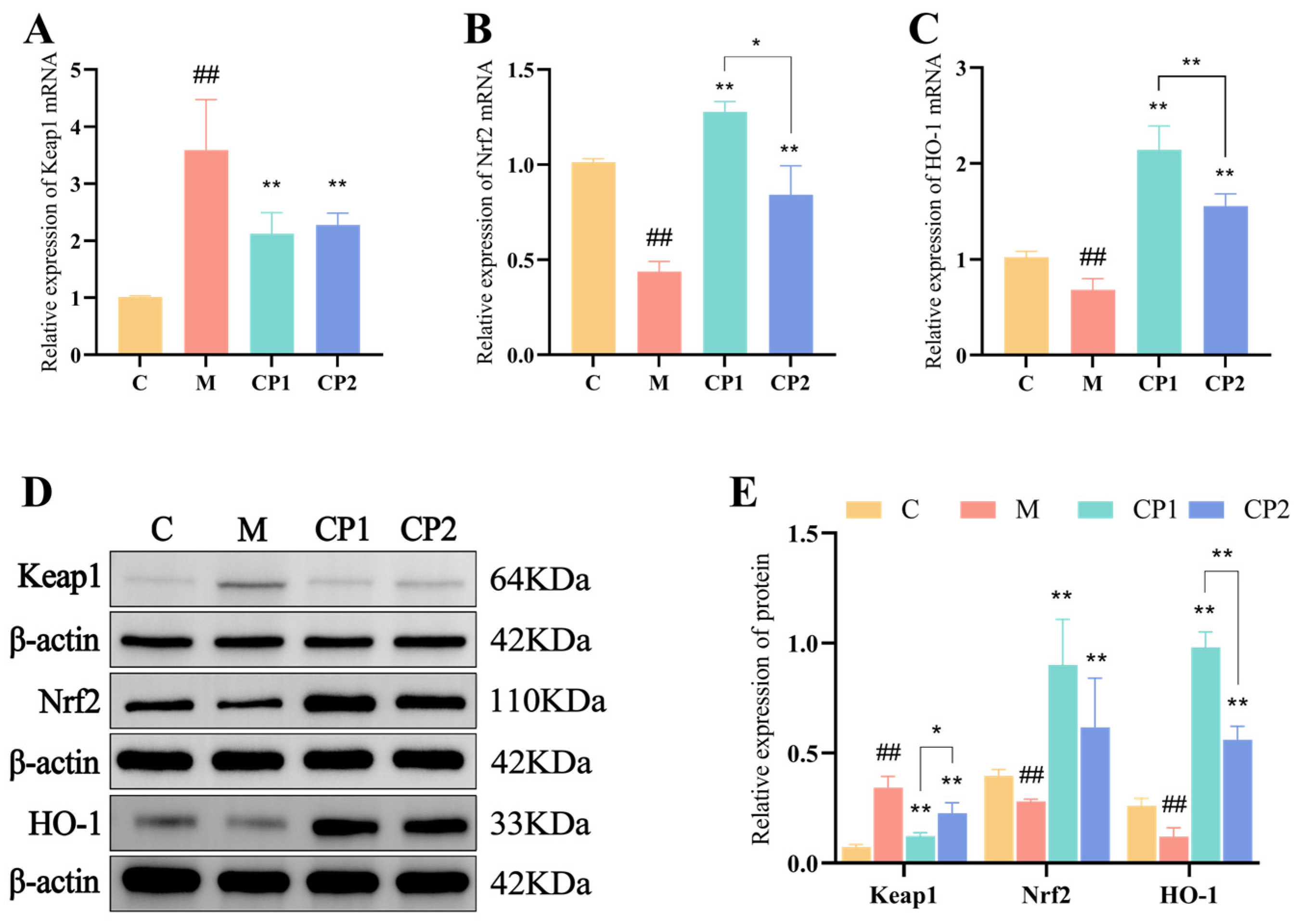 Antioxidants 13 00913 g006