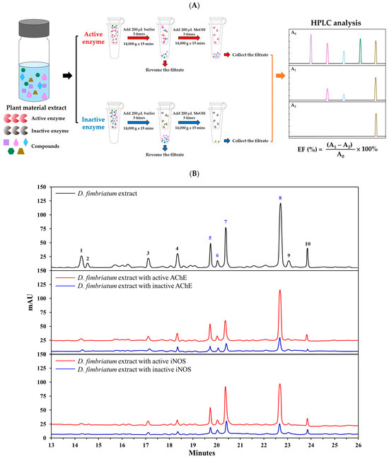 Antioxidants 13 00918 g004