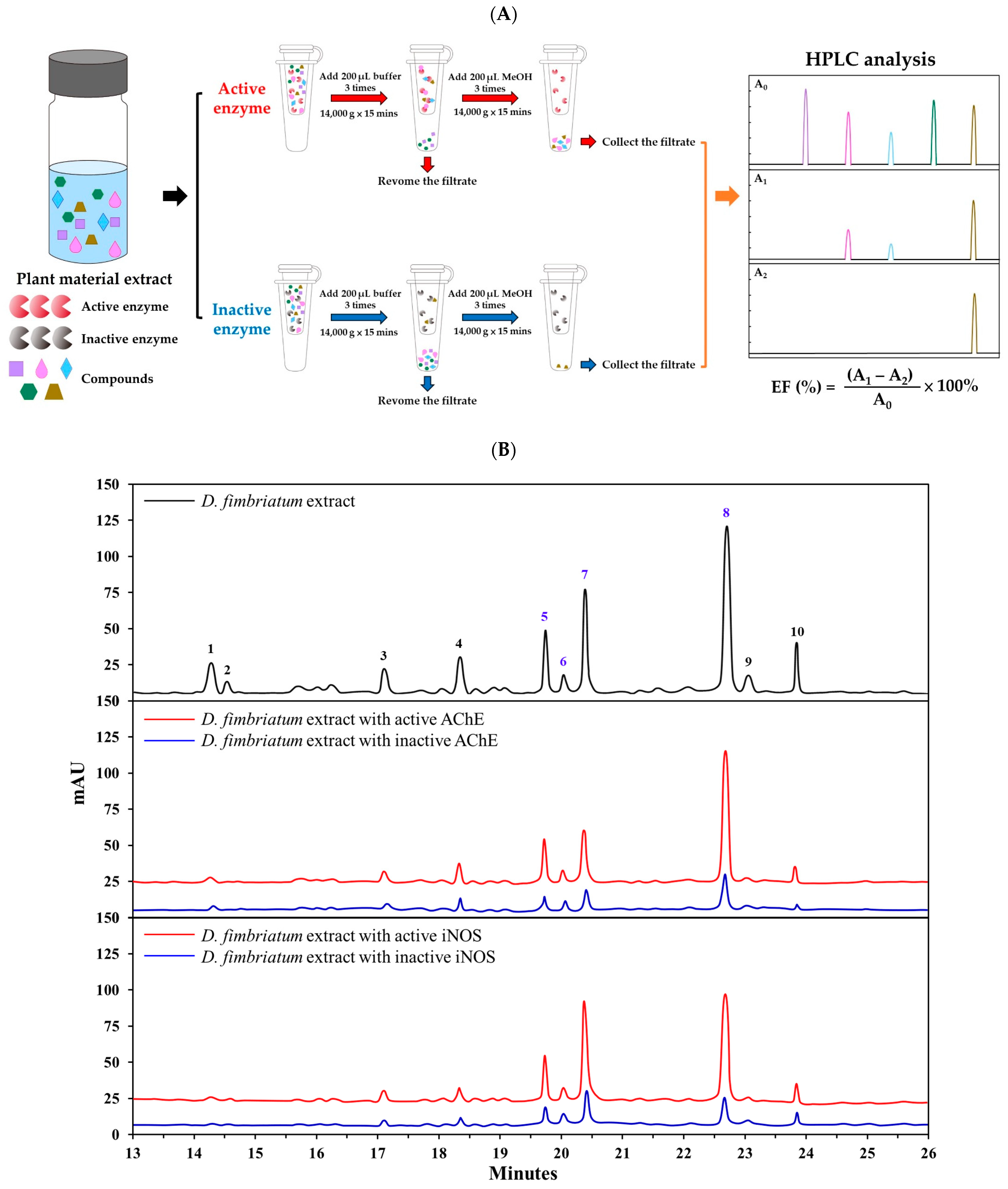 Antioxidants 13 00918 g004
