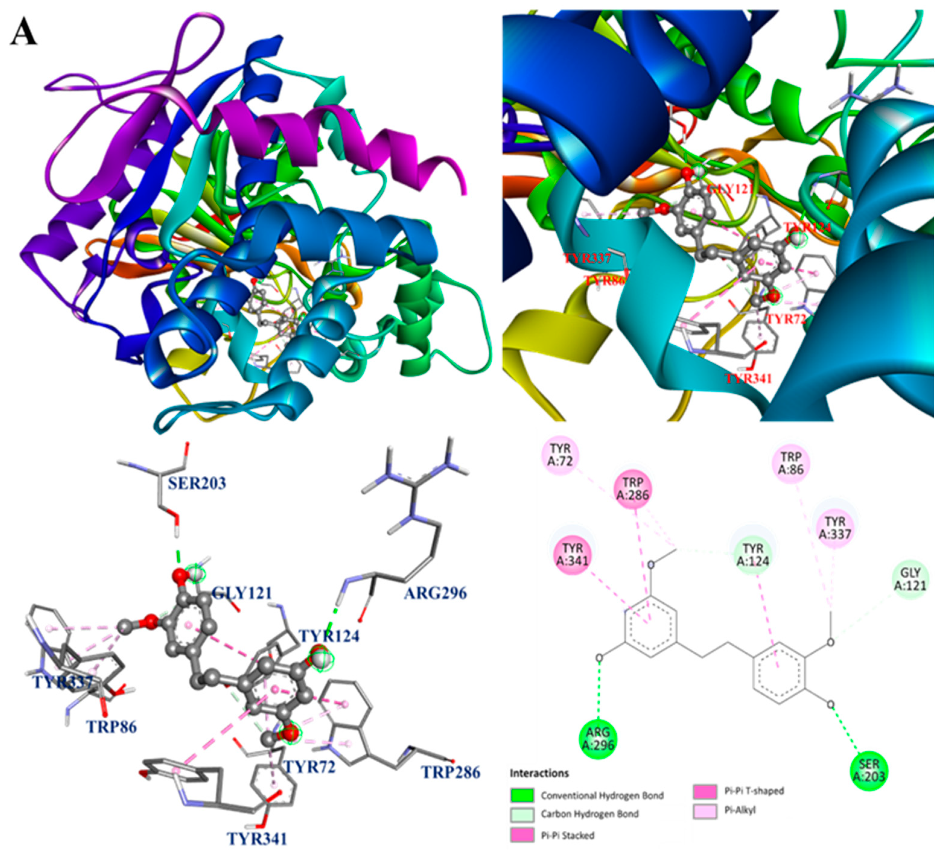 Antioxidants 13 00918 g005a