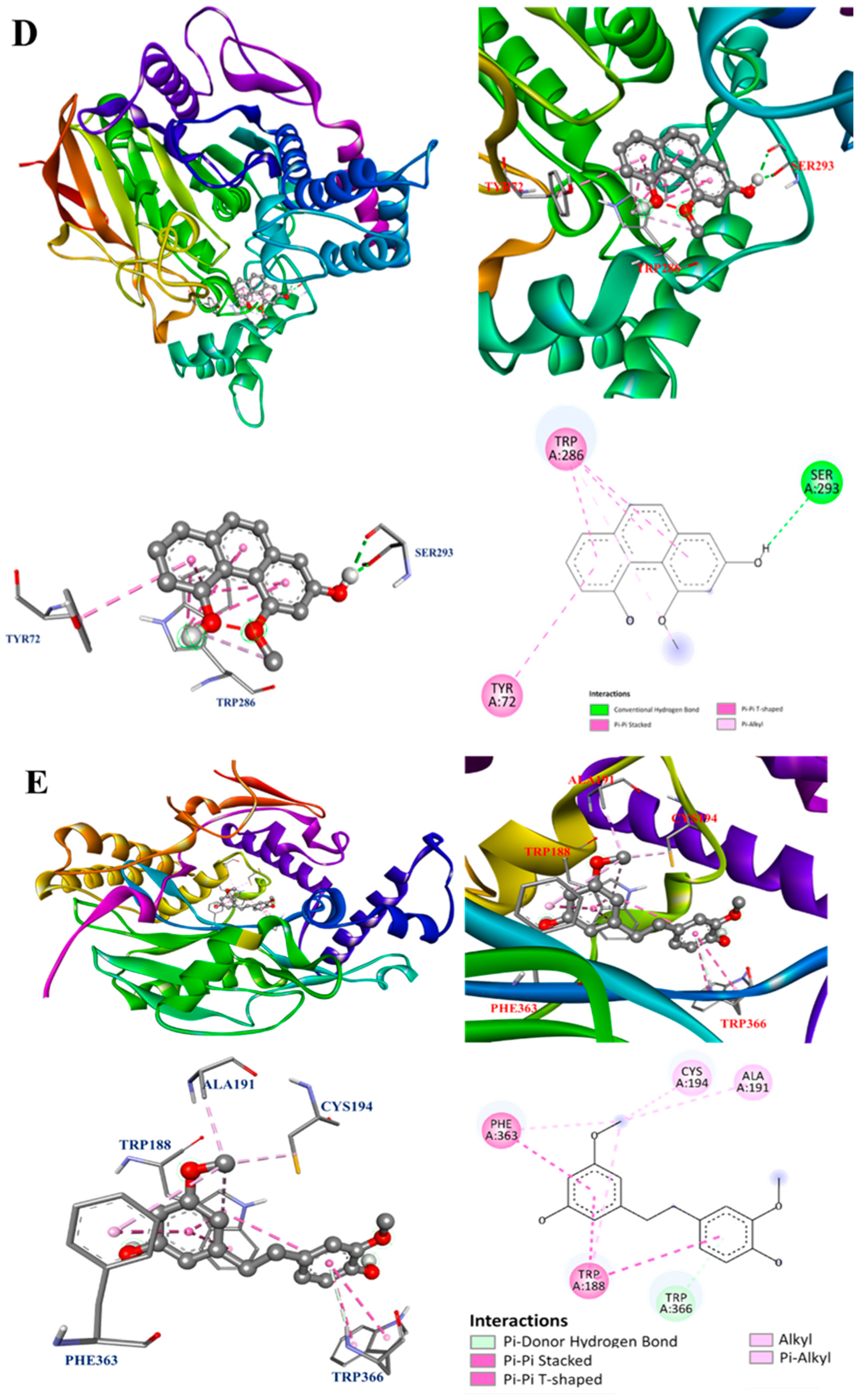 Antioxidants 13 00918 g005c