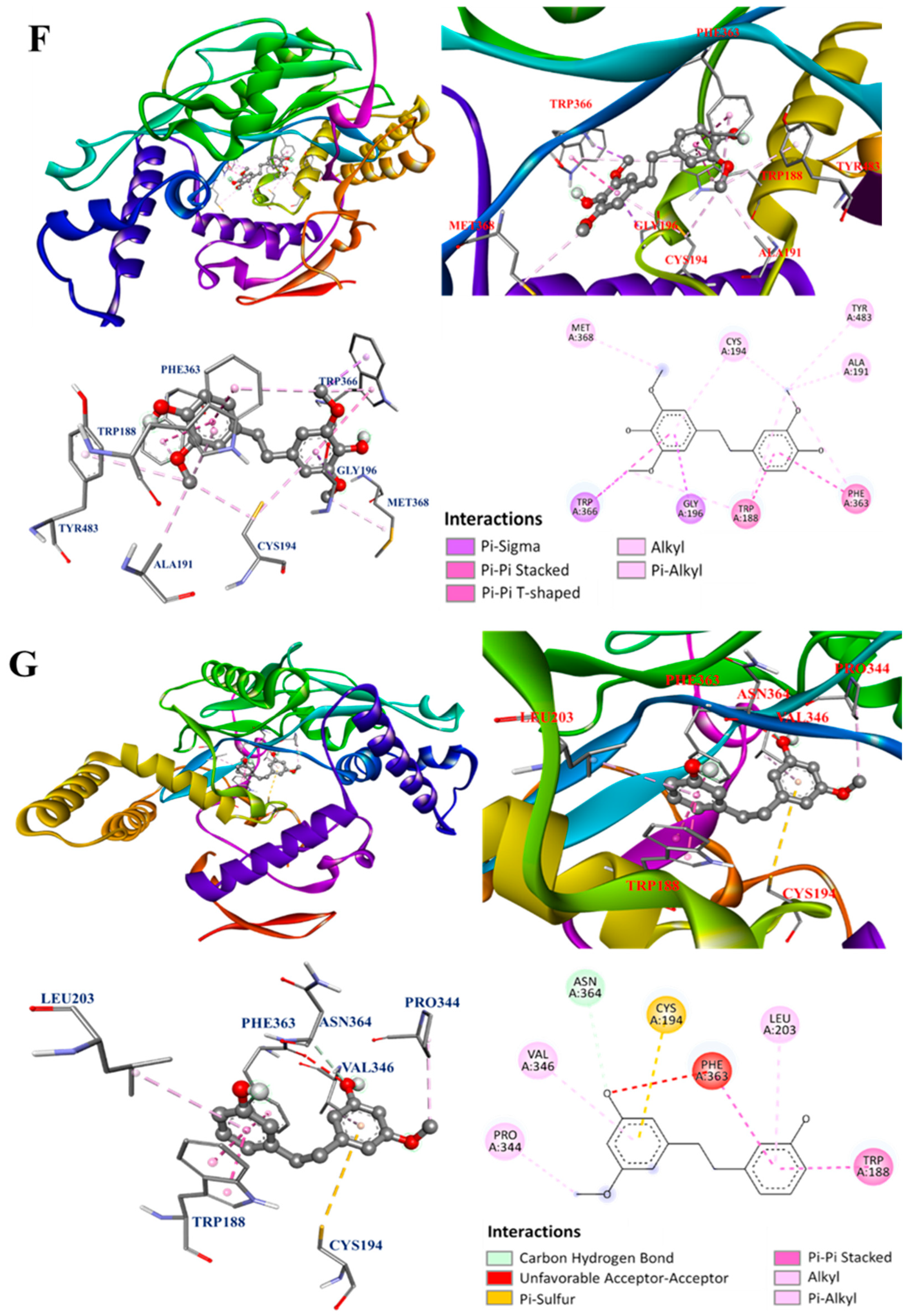 Antioxidants 13 00918 g005d
