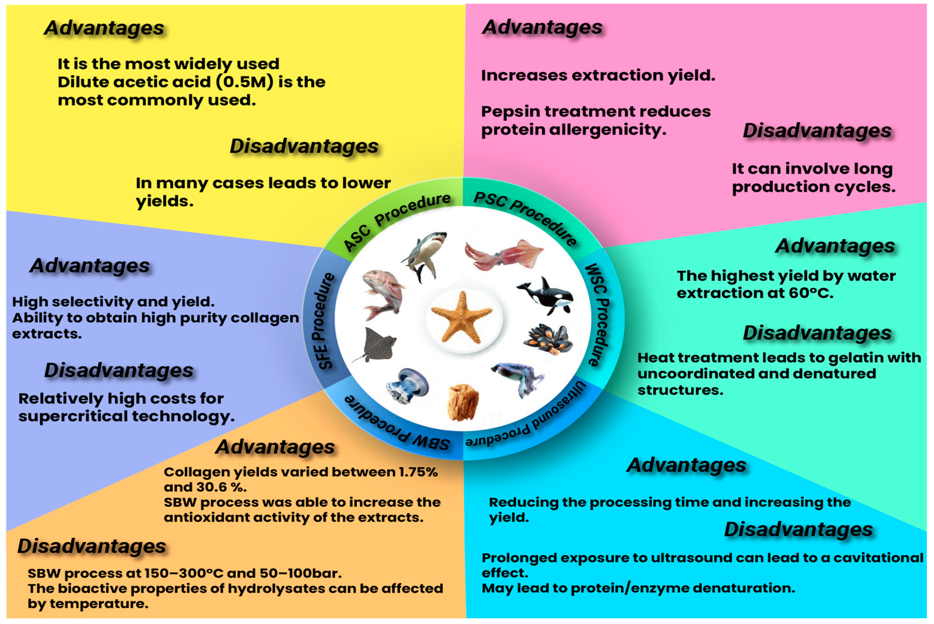 Antioxidants 13 00919 g003