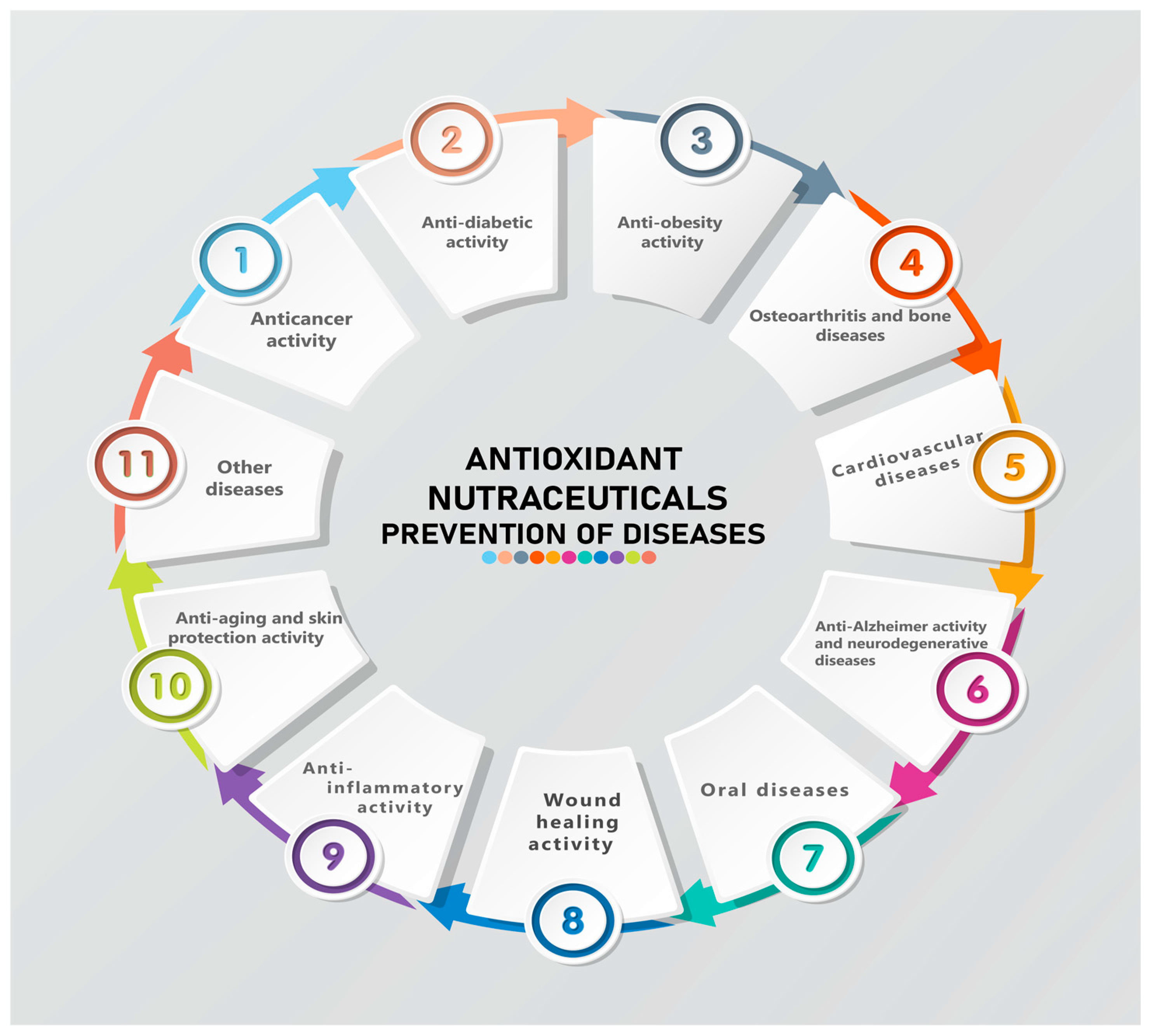 Antioxidants 13 00919 g007