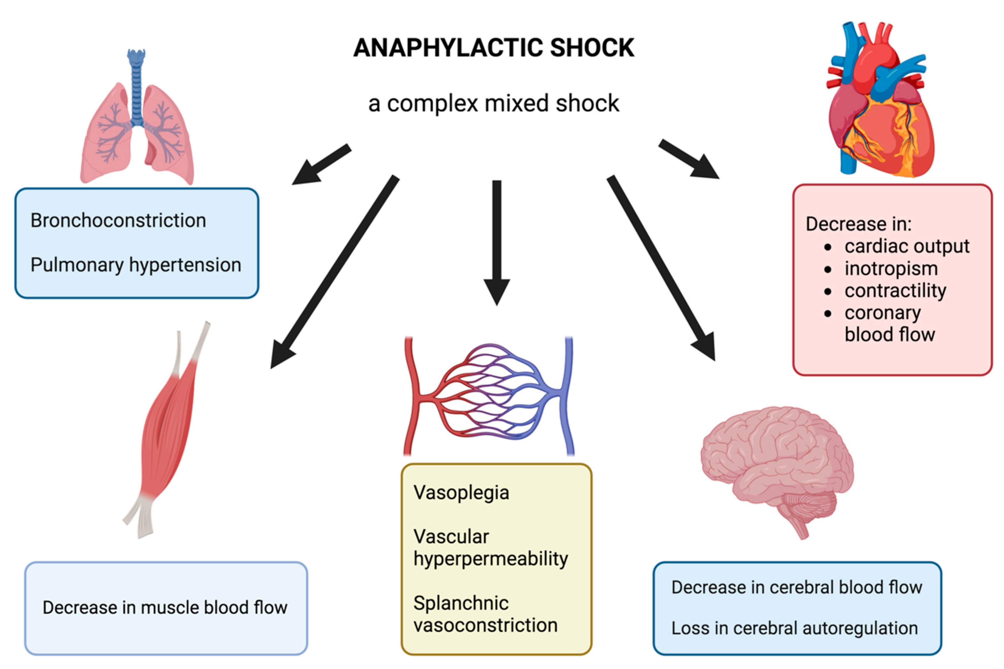 Antioxidants 13 00920 g001 Antioxidants 13 00920 g001