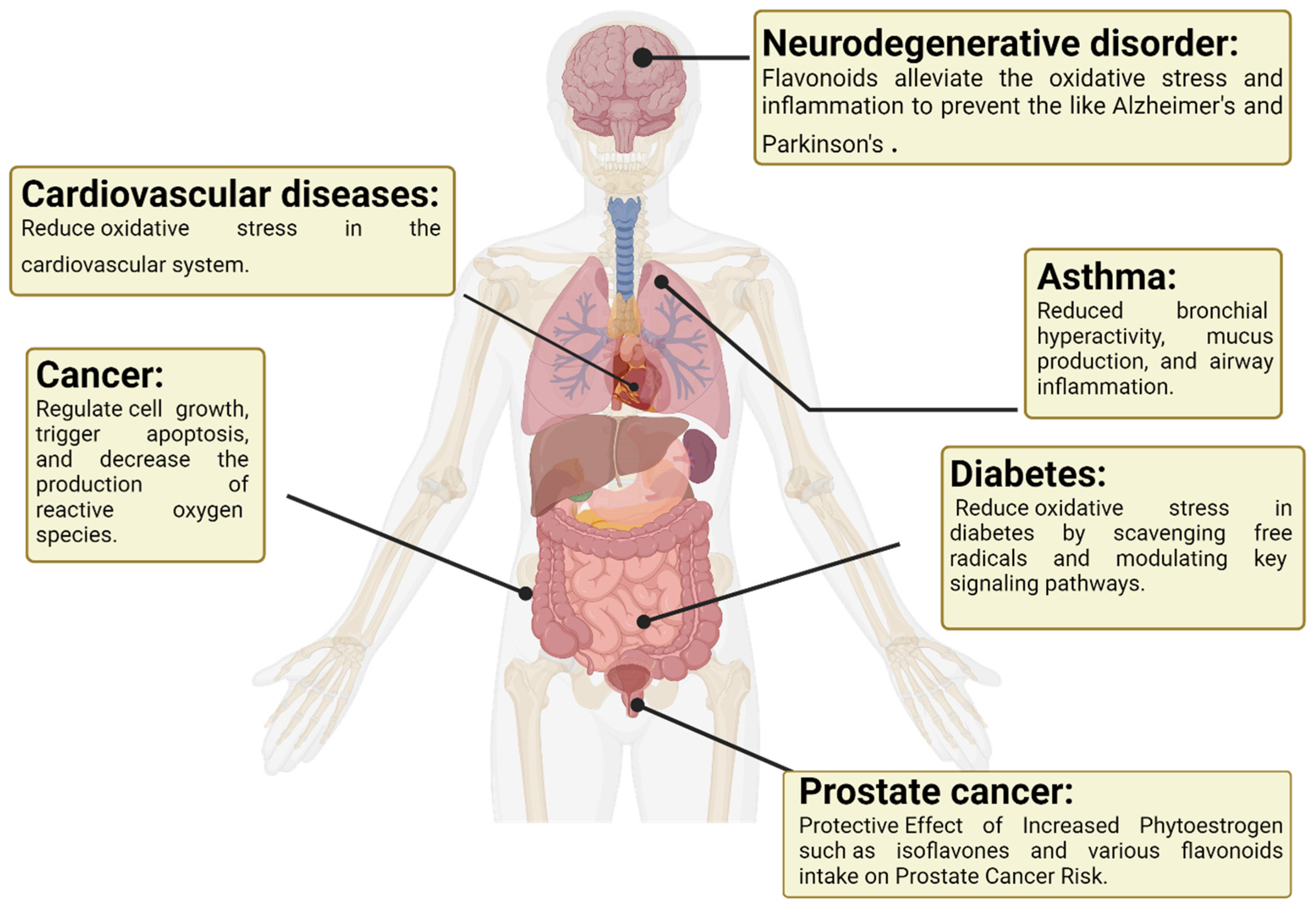 Antioxidants 13 00922 g002 Antioxidants 13 00922 g002
