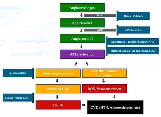 Antioxidants 13 00923 g004