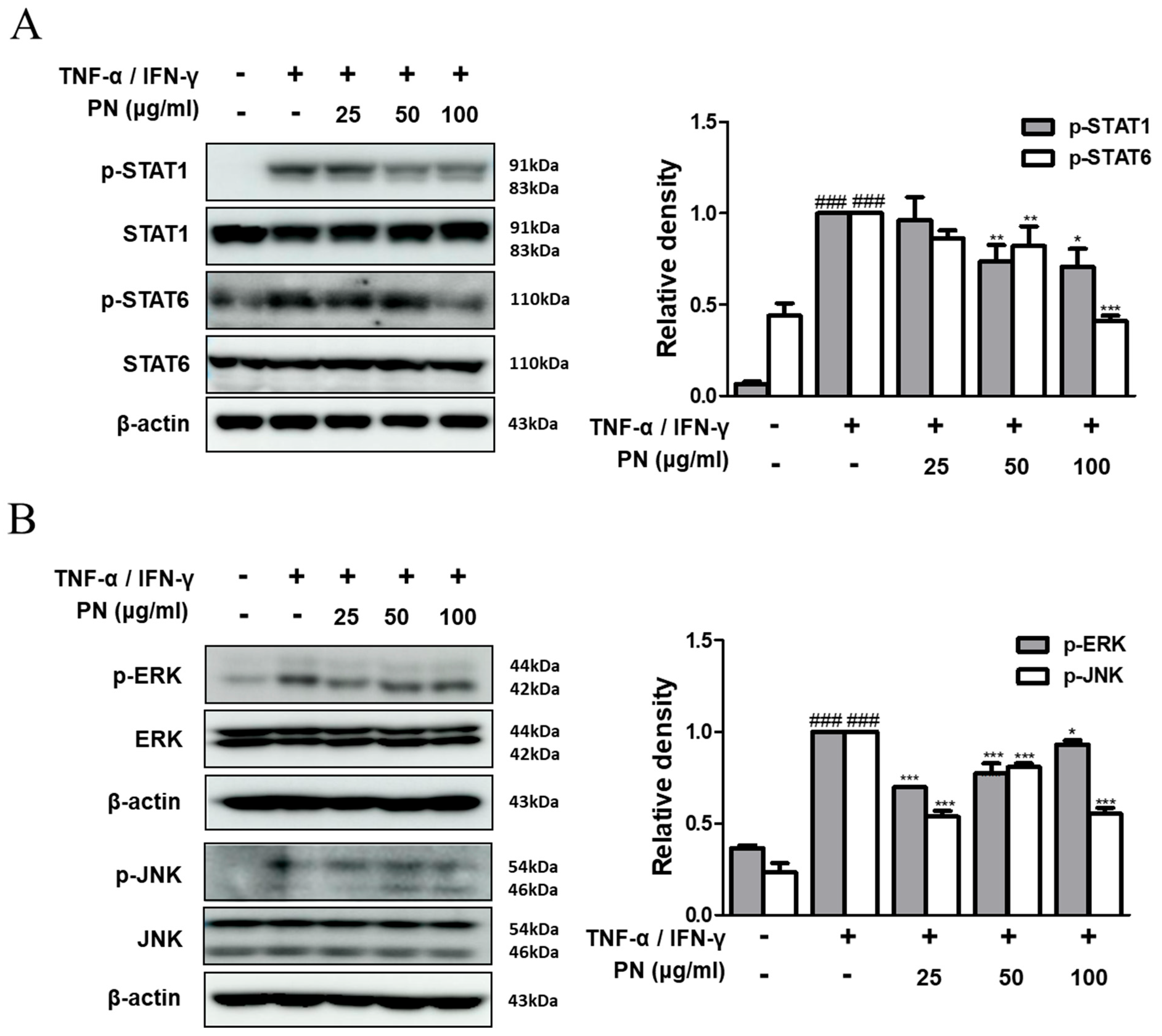 Antioxidants 13 00928 g006