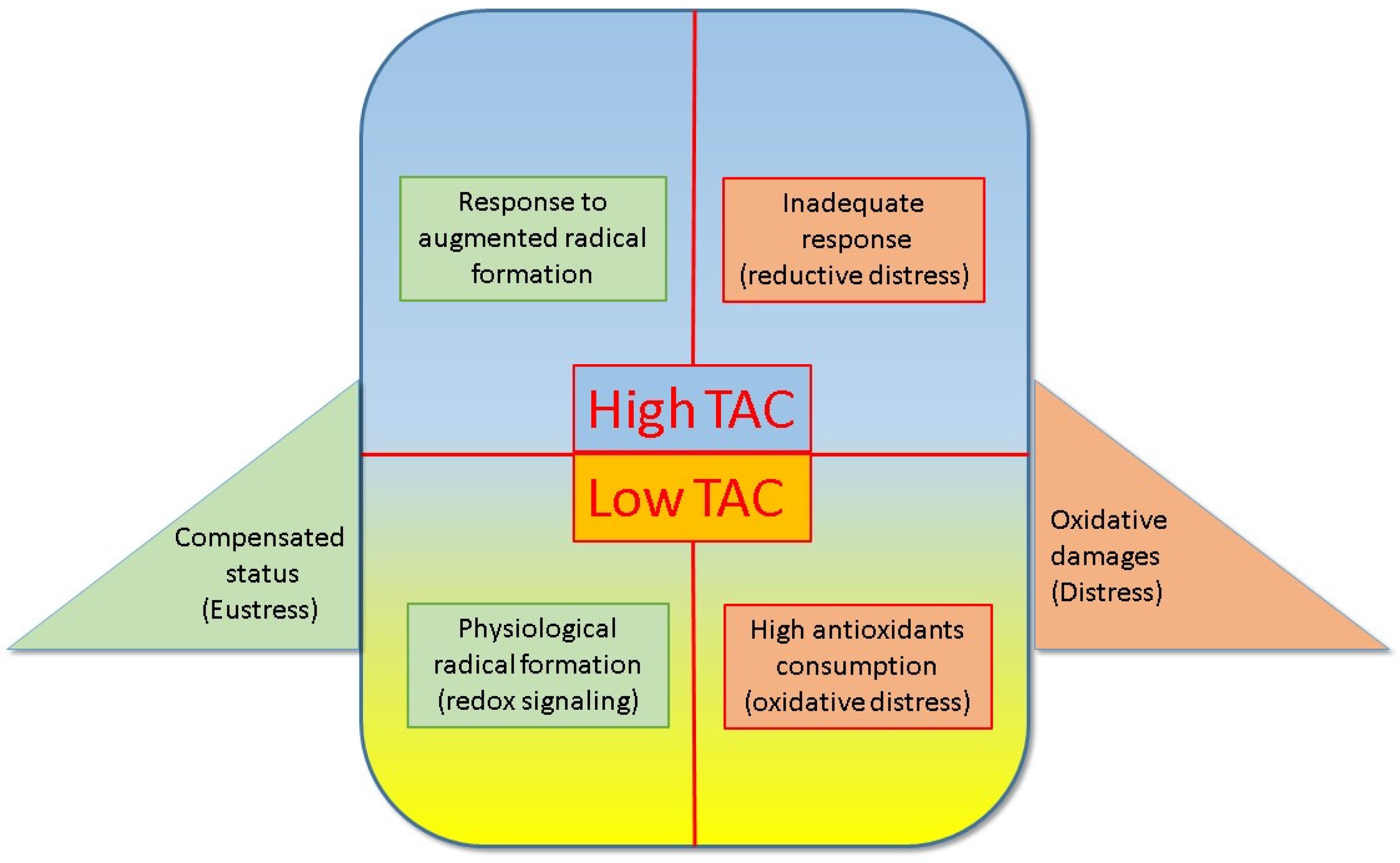 Antioxidants 13 00933 g002