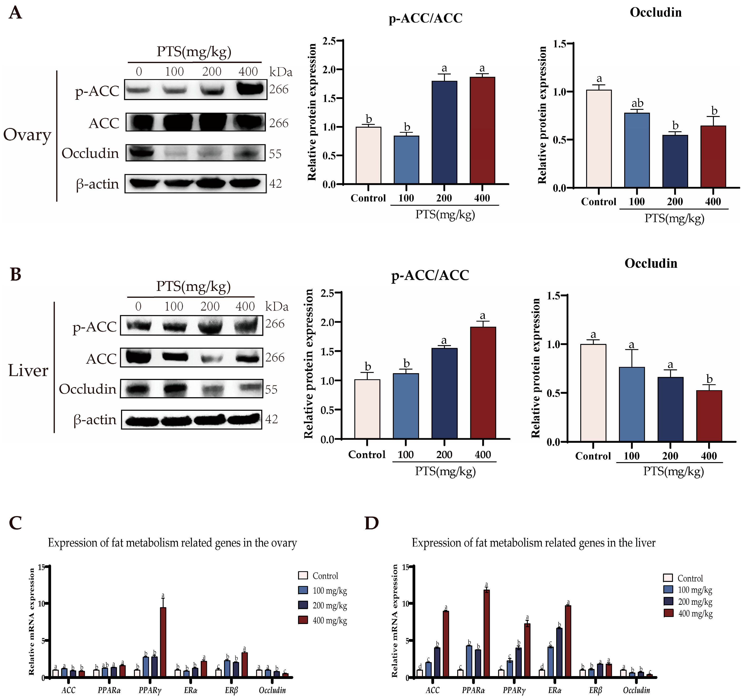 Antioxidants 13 00935 g007