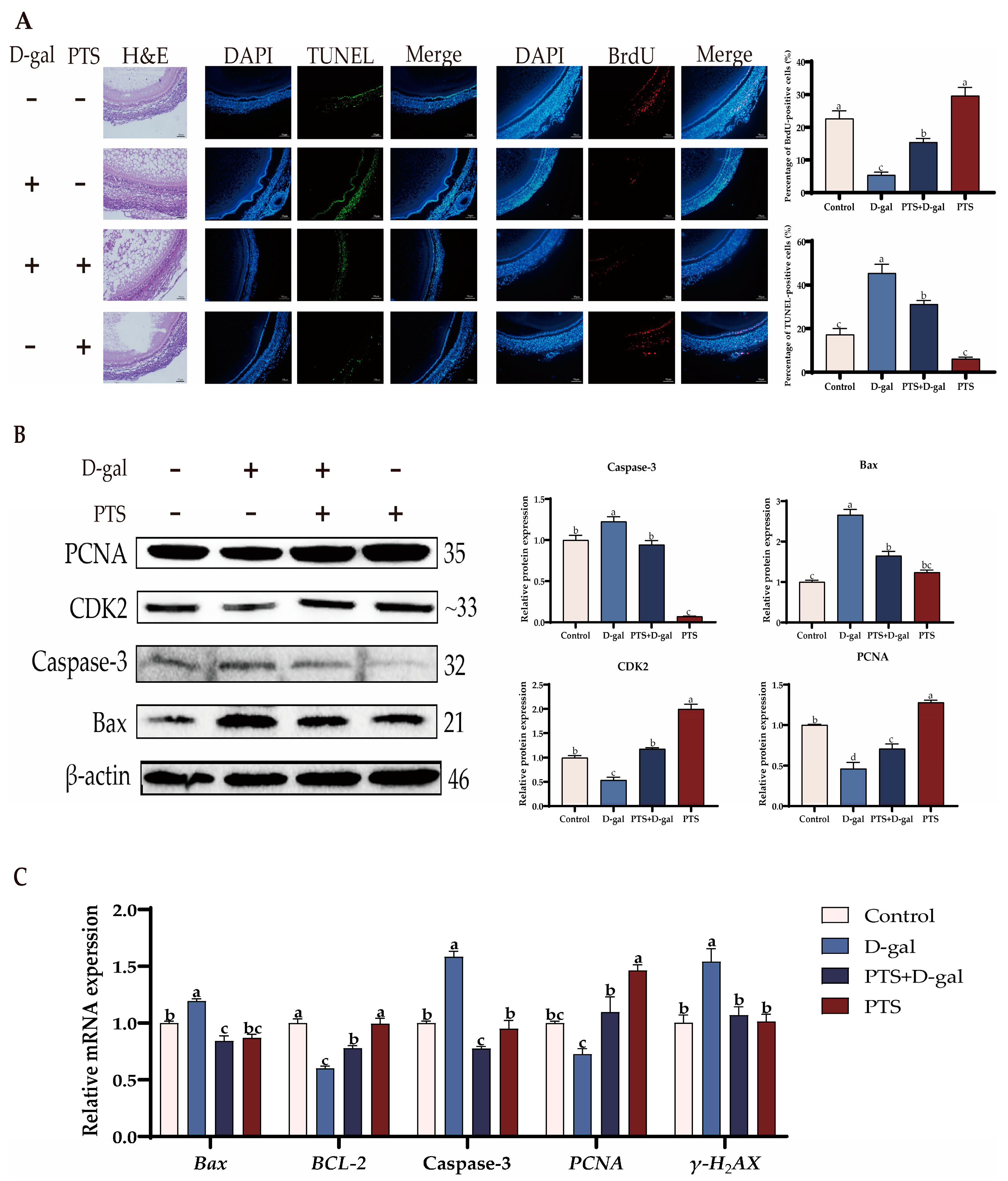 Antioxidants 13 00935 g008