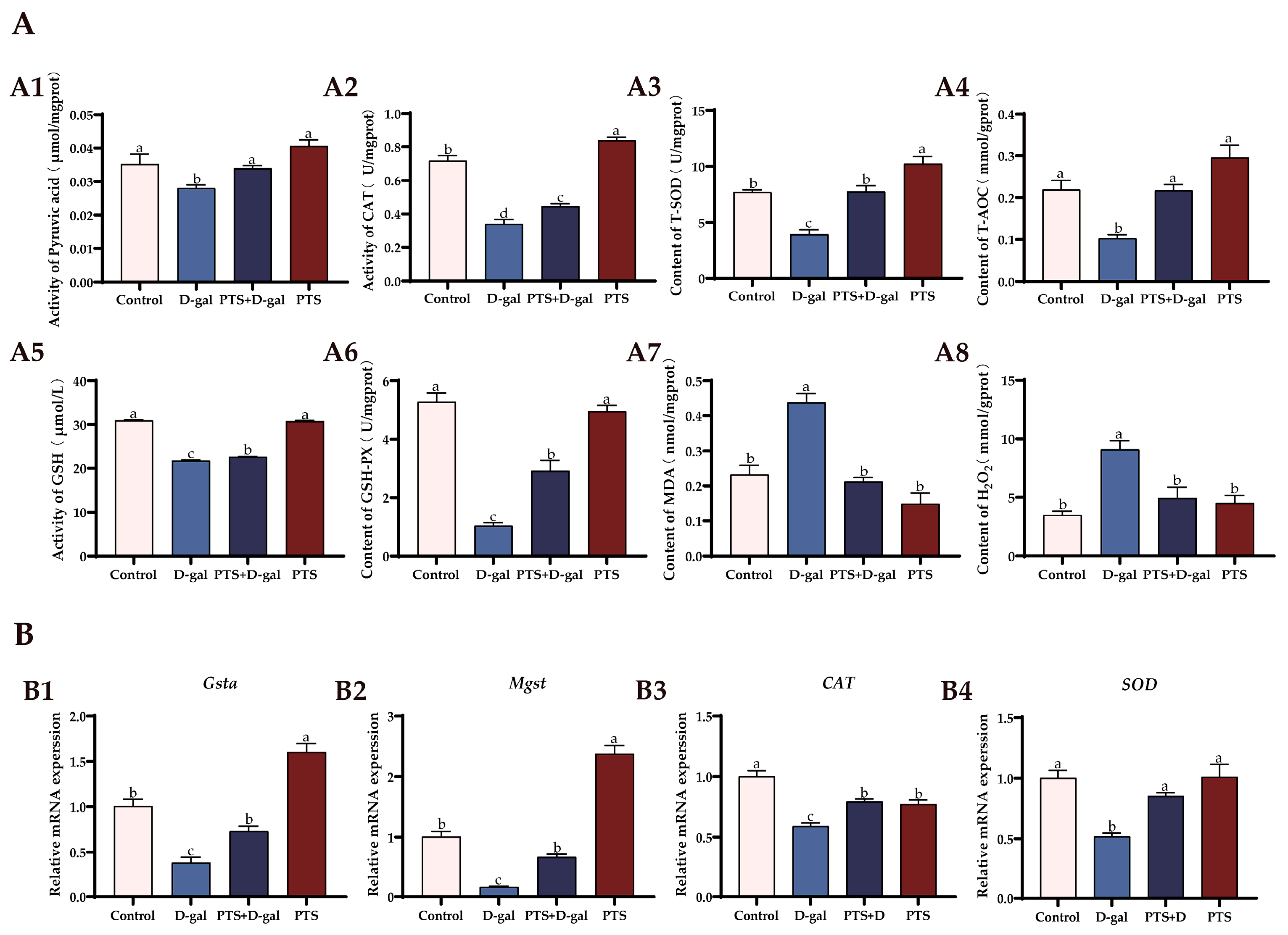 Antioxidants 13 00935 g009