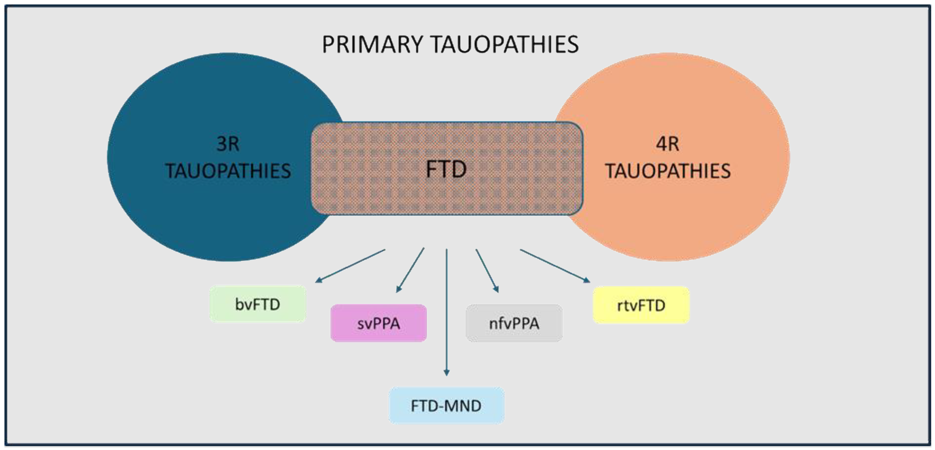 Antioxidants 13 00938 g001 Antioxidants 13 00938 g001