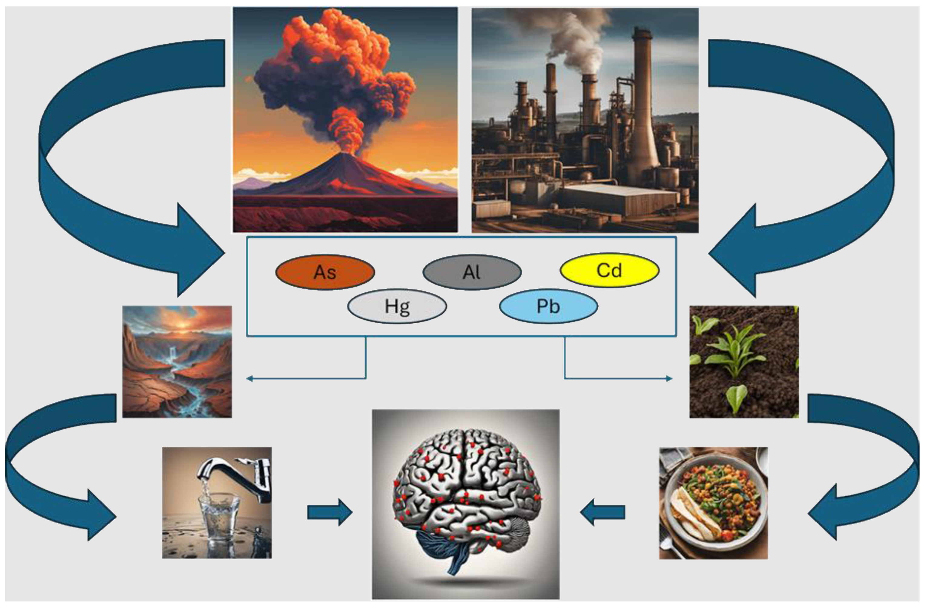 Antioxidants 13 00938 g002 Antioxidants 13 00938 g002
