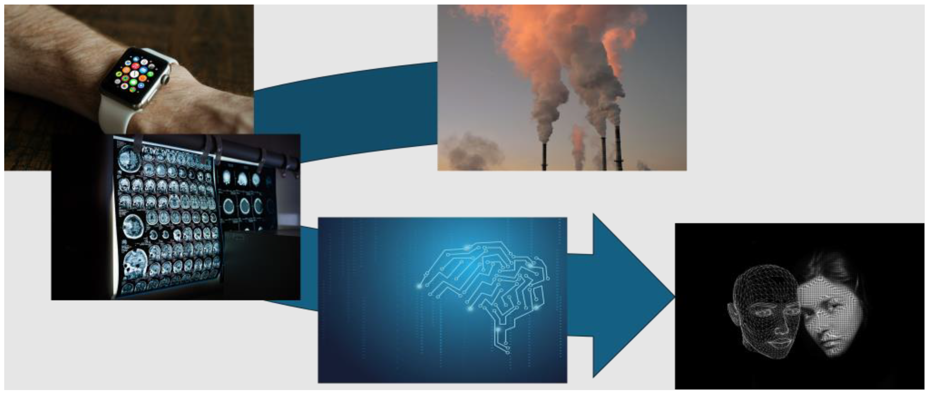 Antioxidants 13 00938 g004 Antioxidants 13 00938 g004