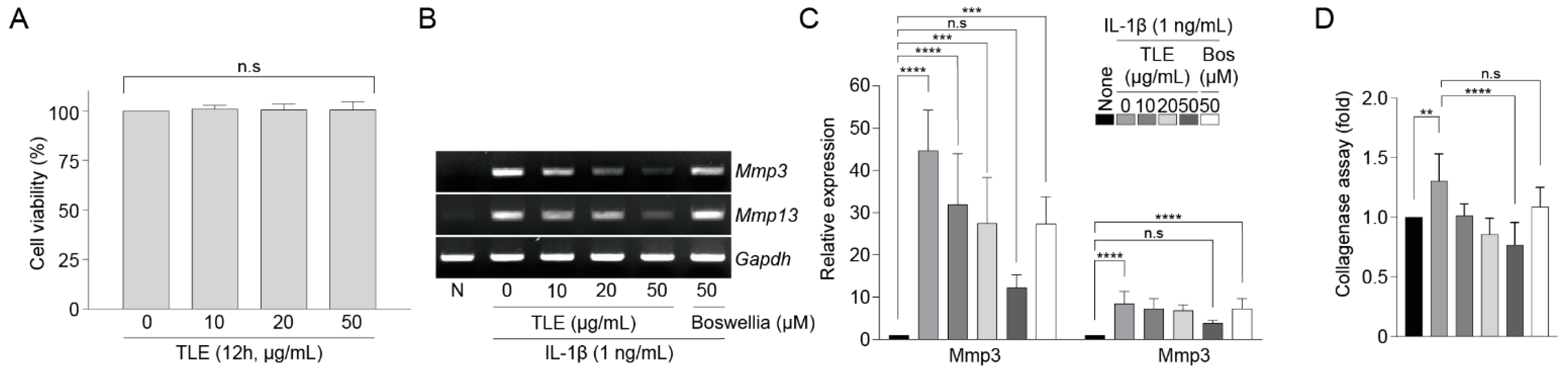 Antioxidants 13 00941 g001