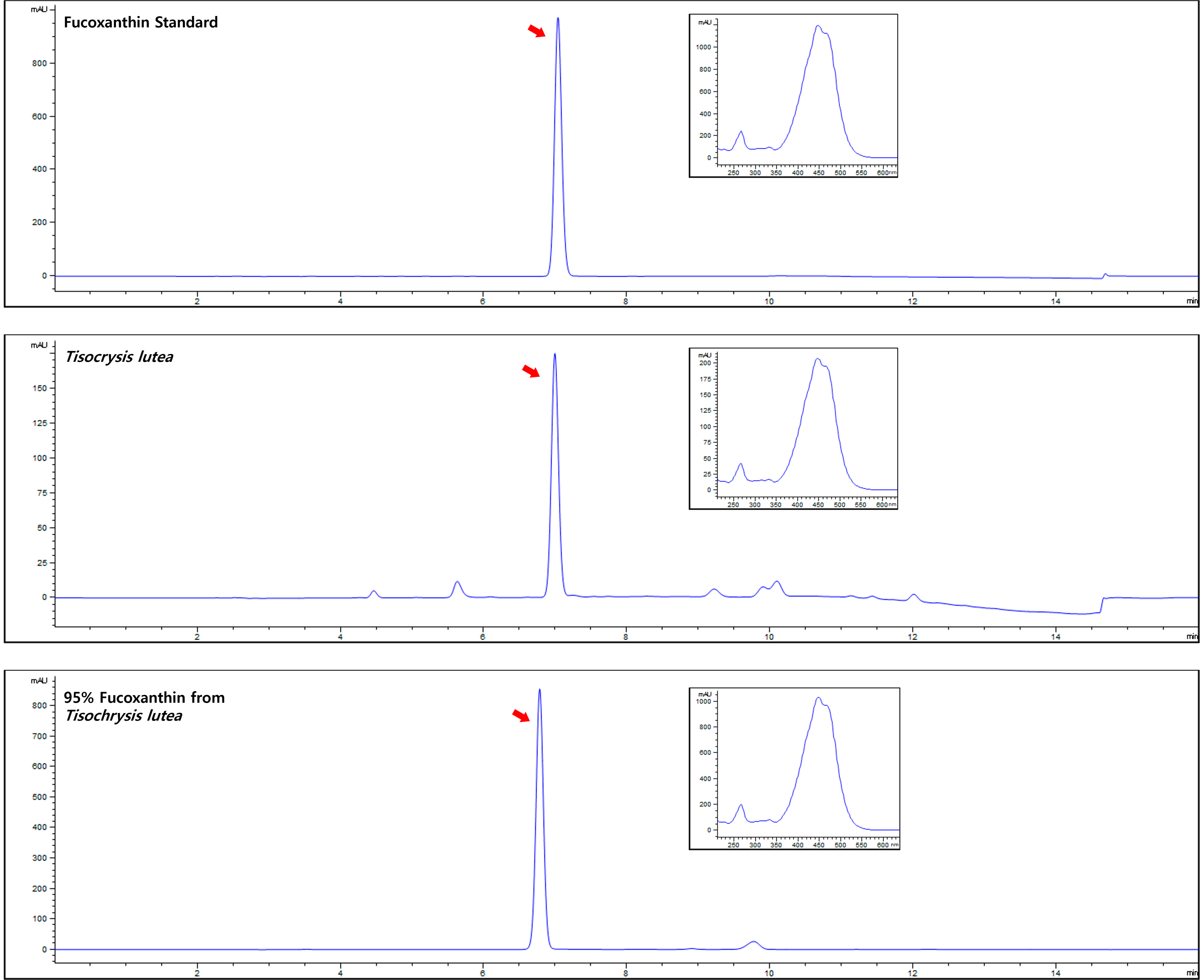 Antioxidants 13 00941 g003