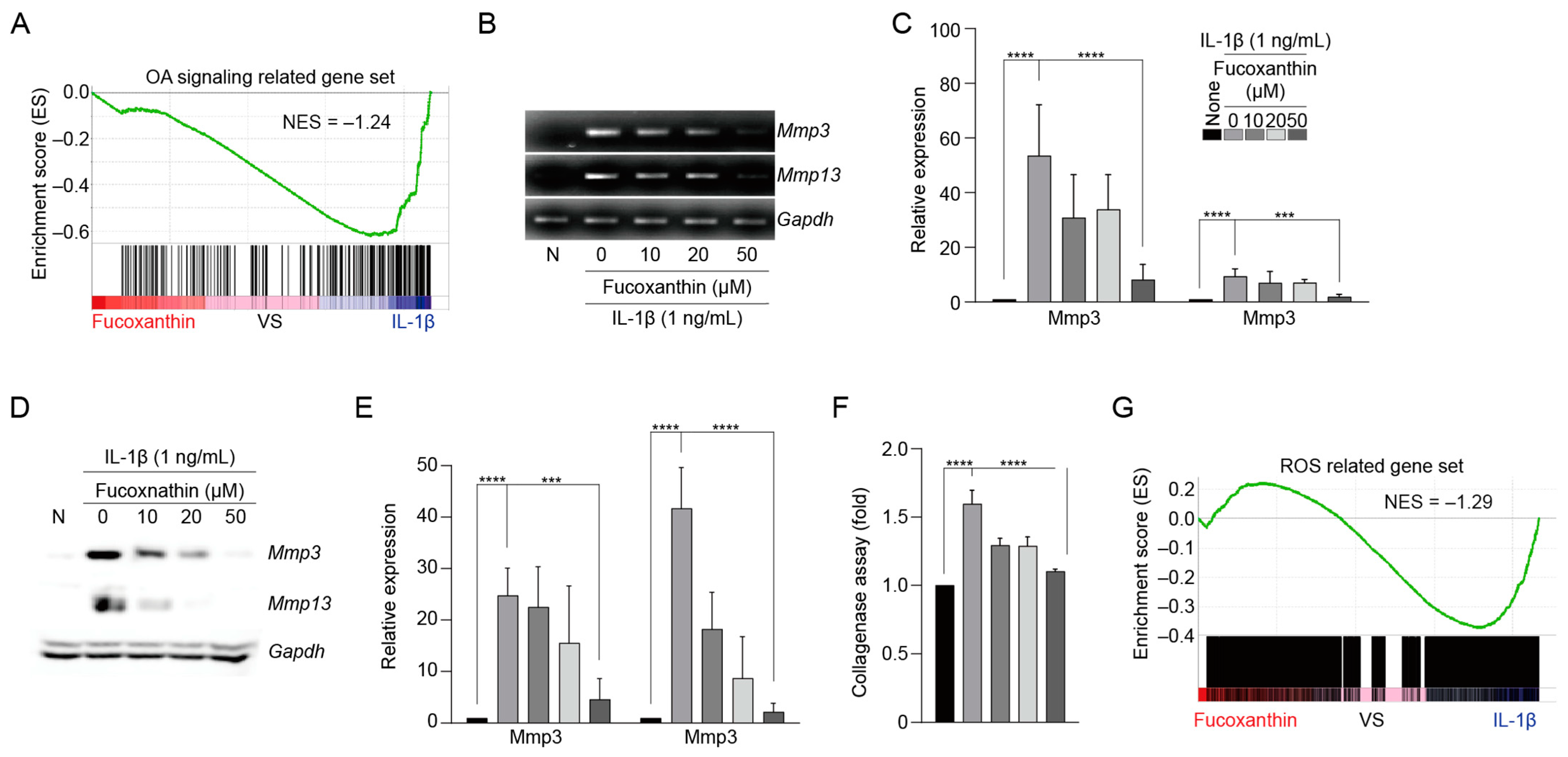 Antioxidants 13 00941 g004