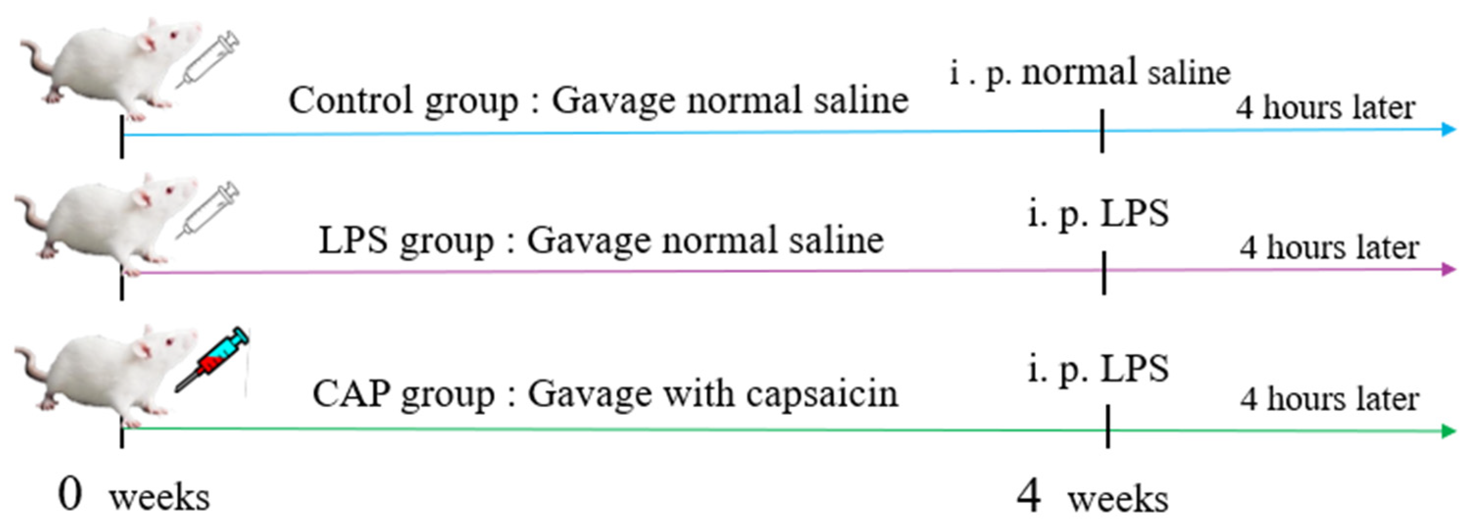Antioxidants 13 00942 g001 Antioxidants 13 00942 g001