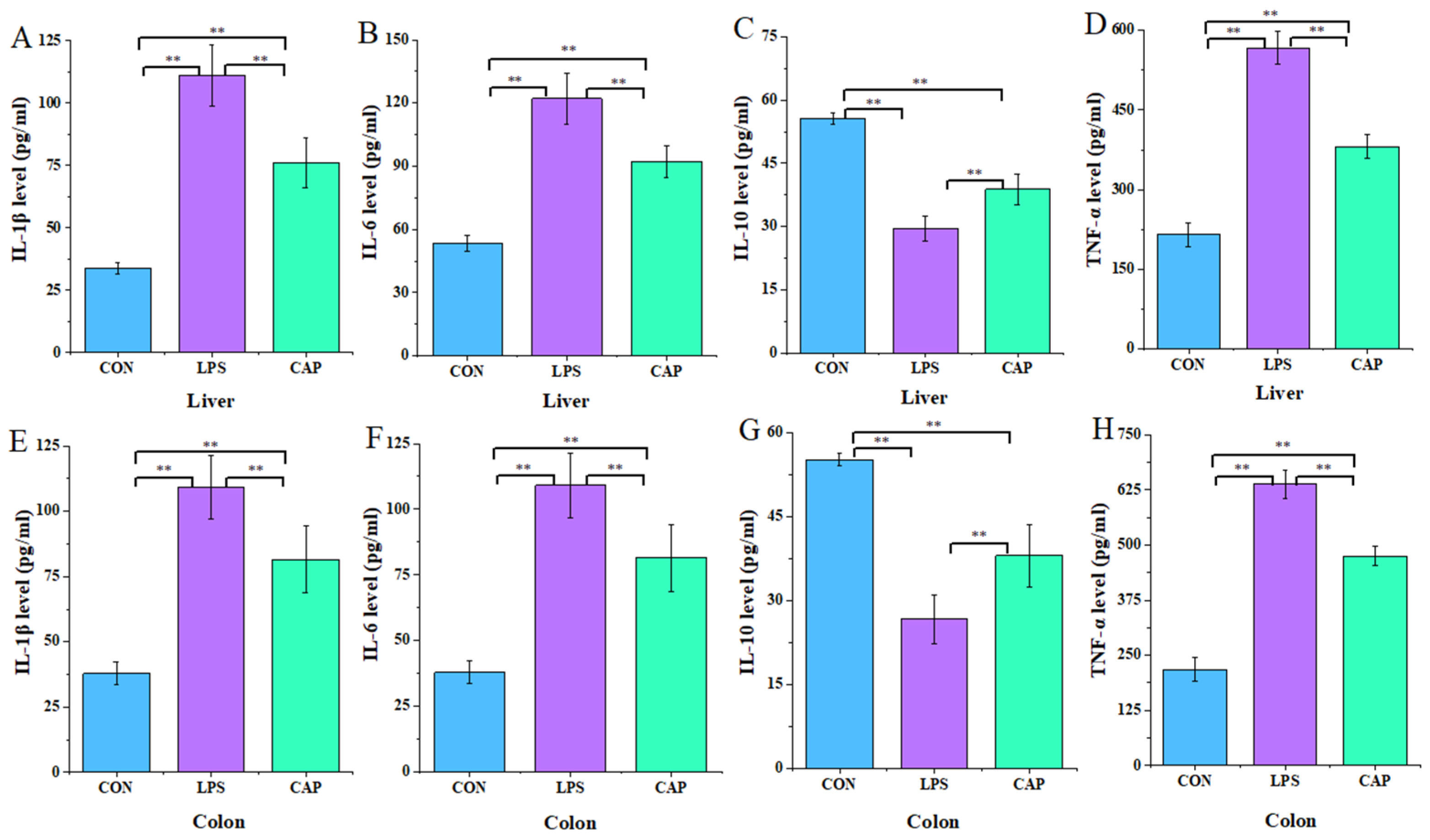 Antioxidants 13 00942 g003 Antioxidants 13 00942 g003