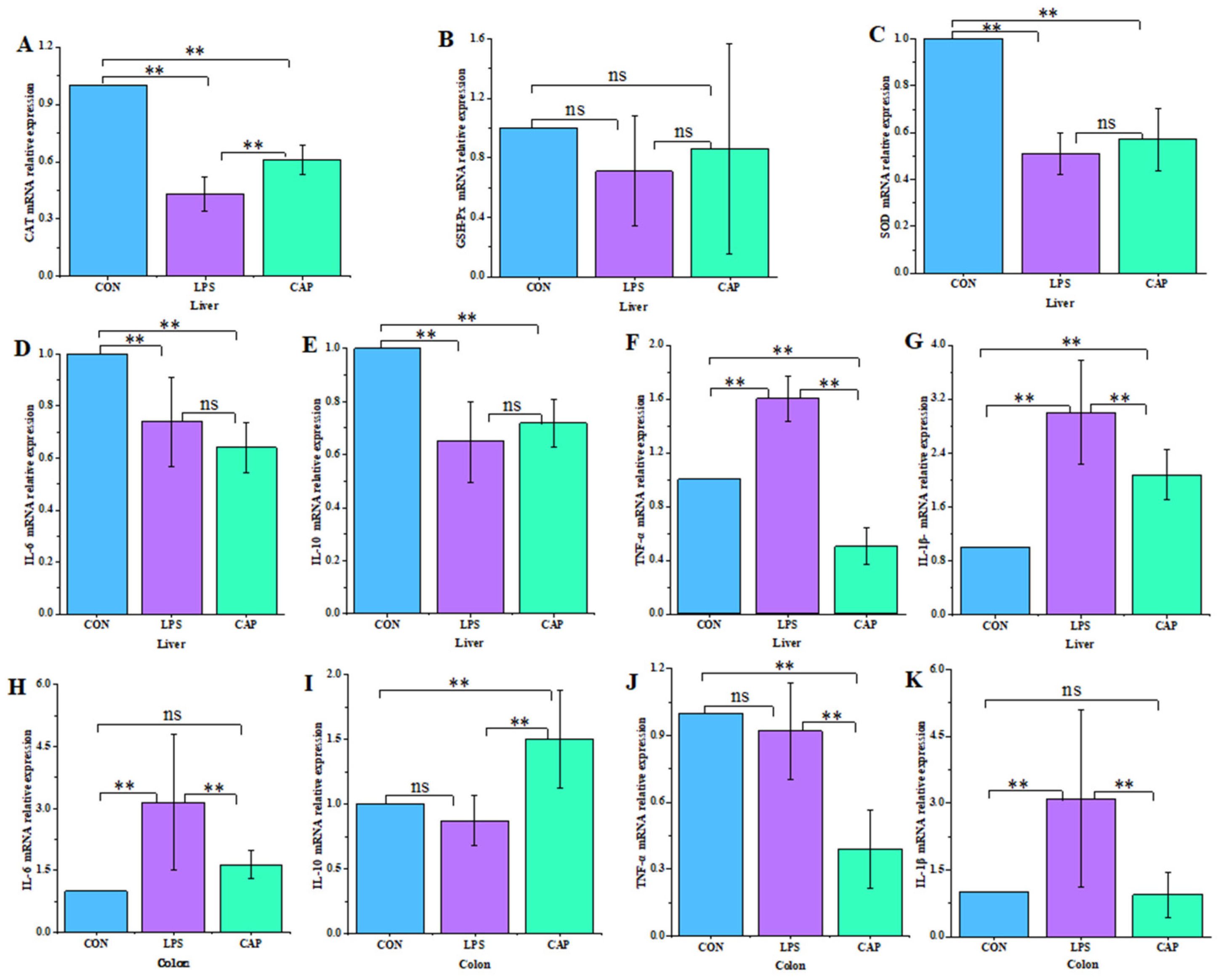 Antioxidants 13 00942 g005 Antioxidants 13 00942 g005