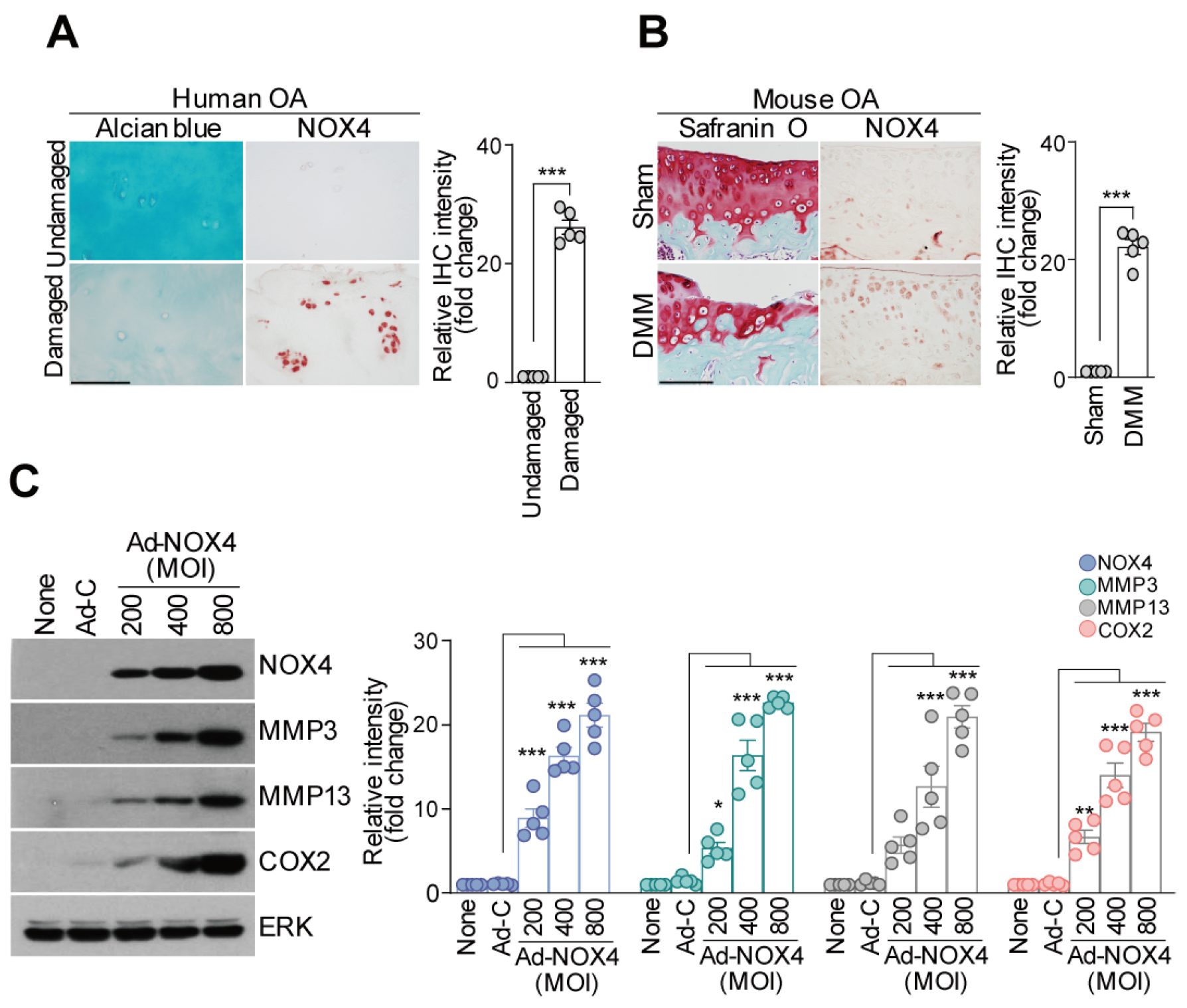 Antioxidants 13 00943 g002