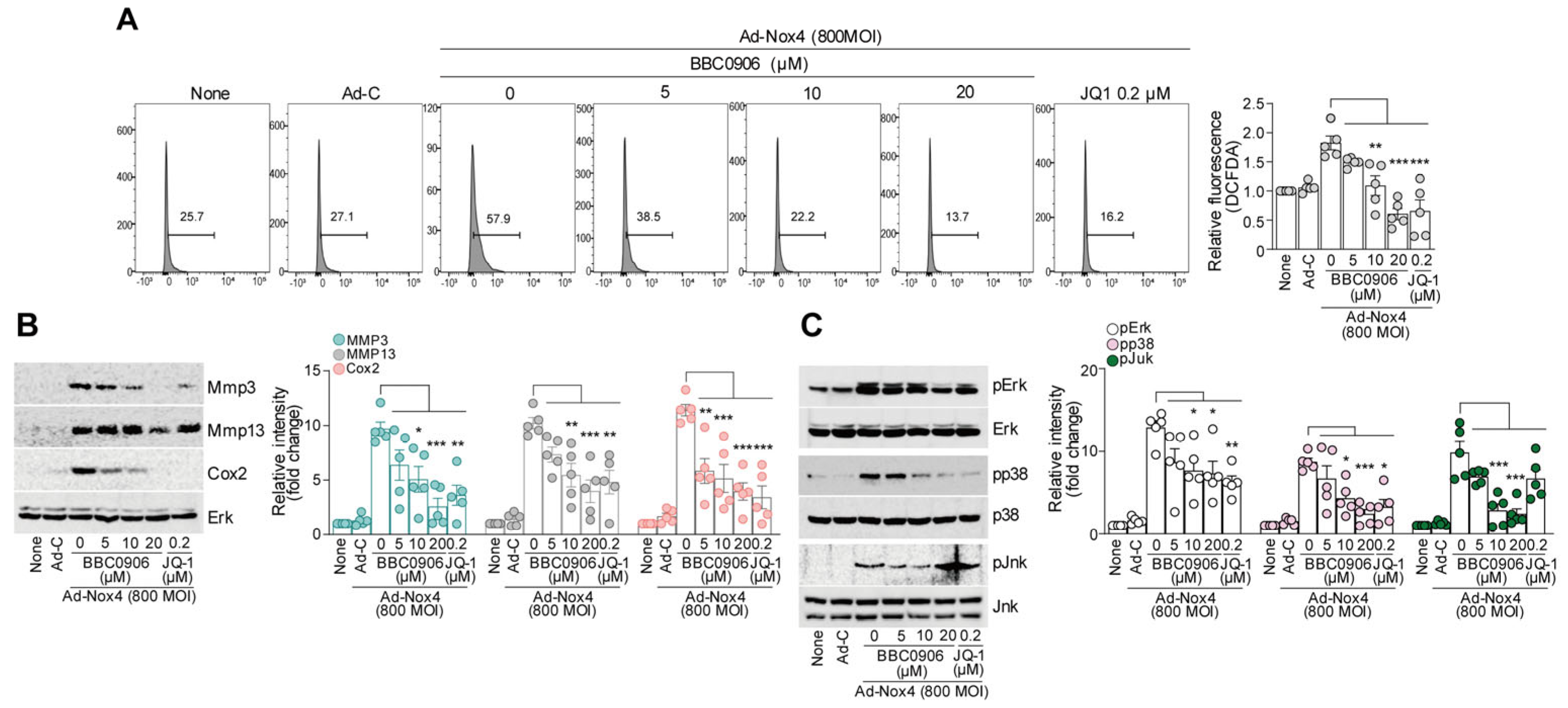 Antioxidants 13 00943 g003