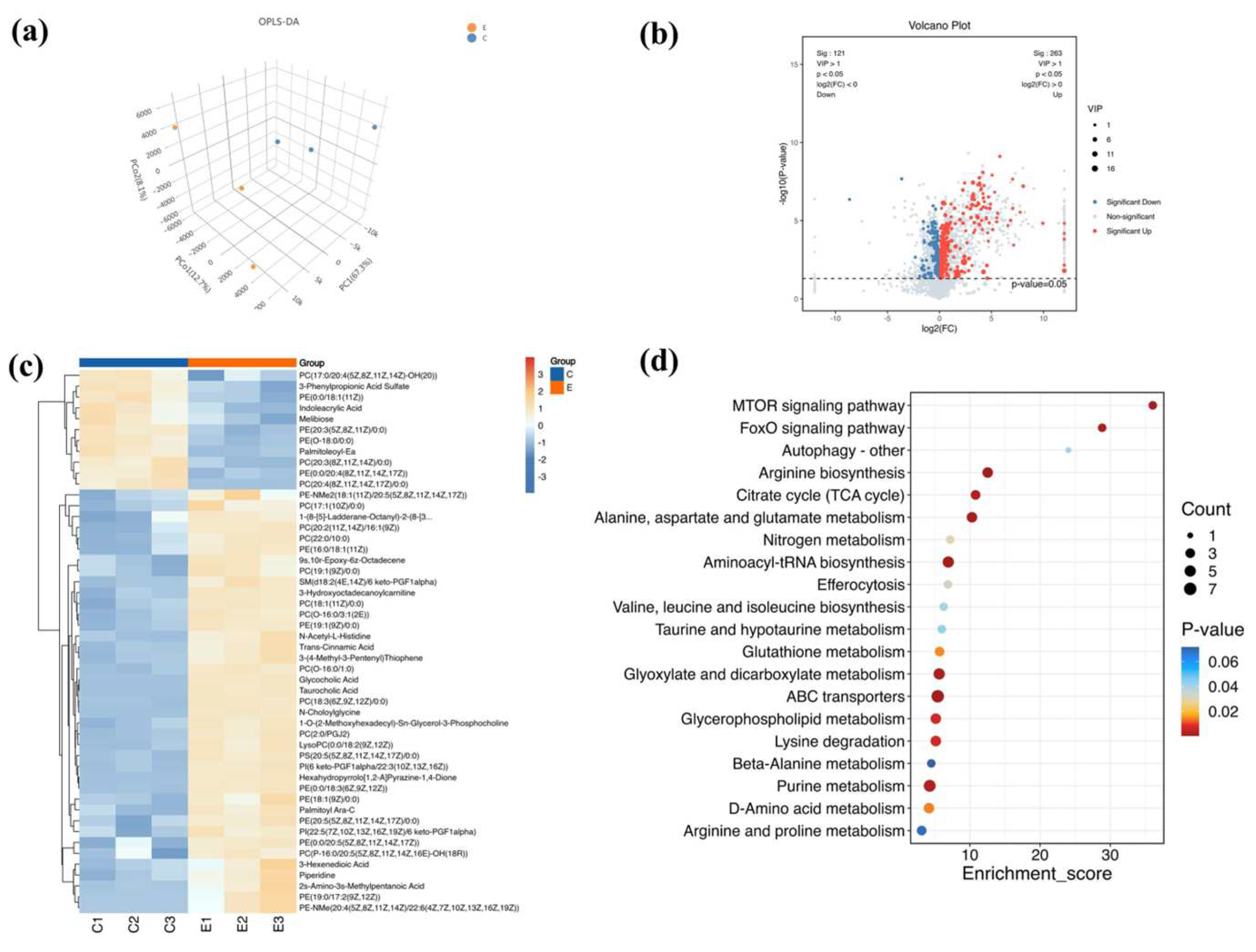 Antioxidants 13 00945 g006