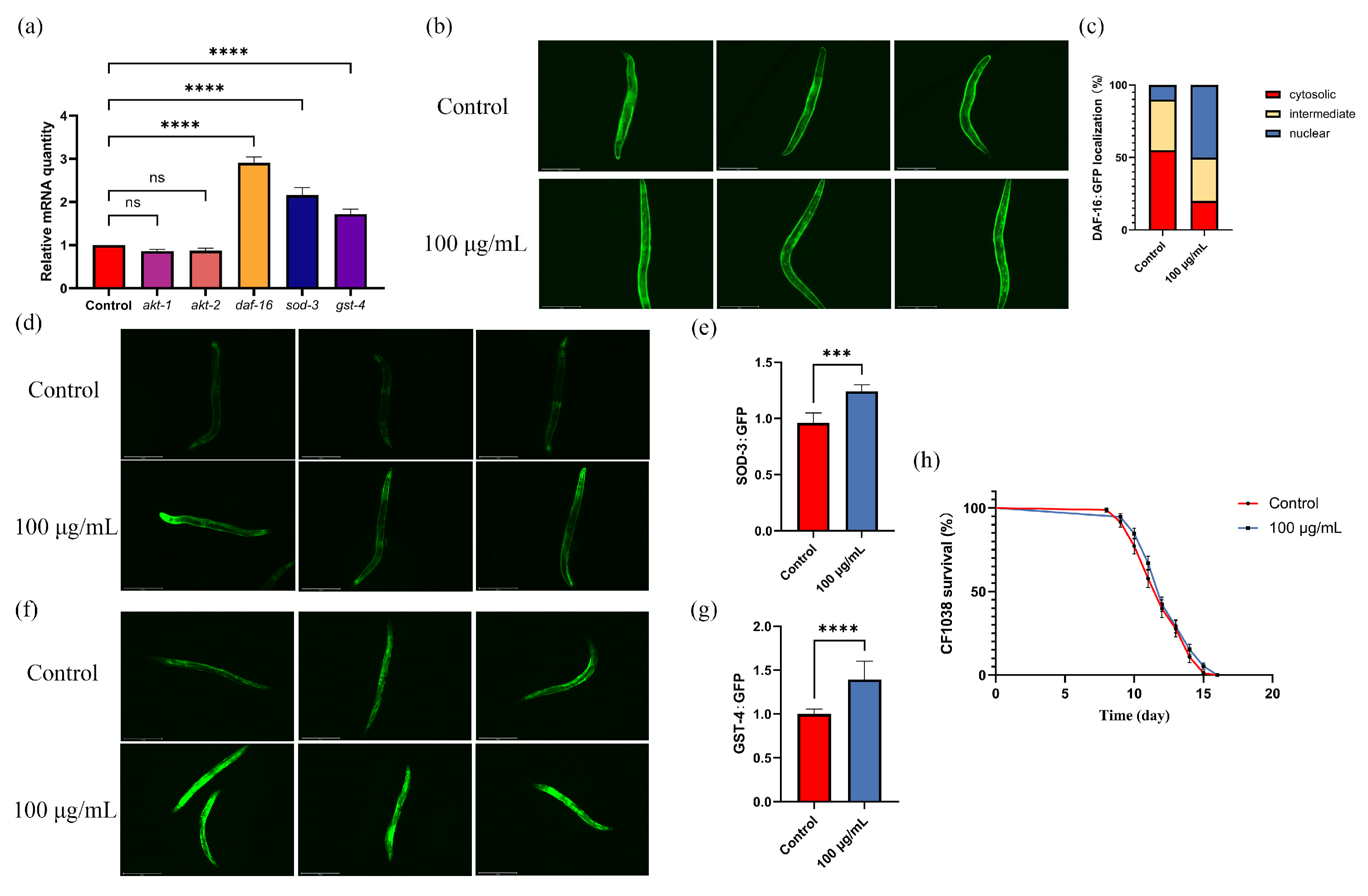 Antioxidants 13 00945 g008