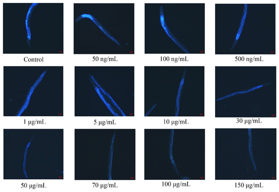 Antioxidants 13 00945 g0a2