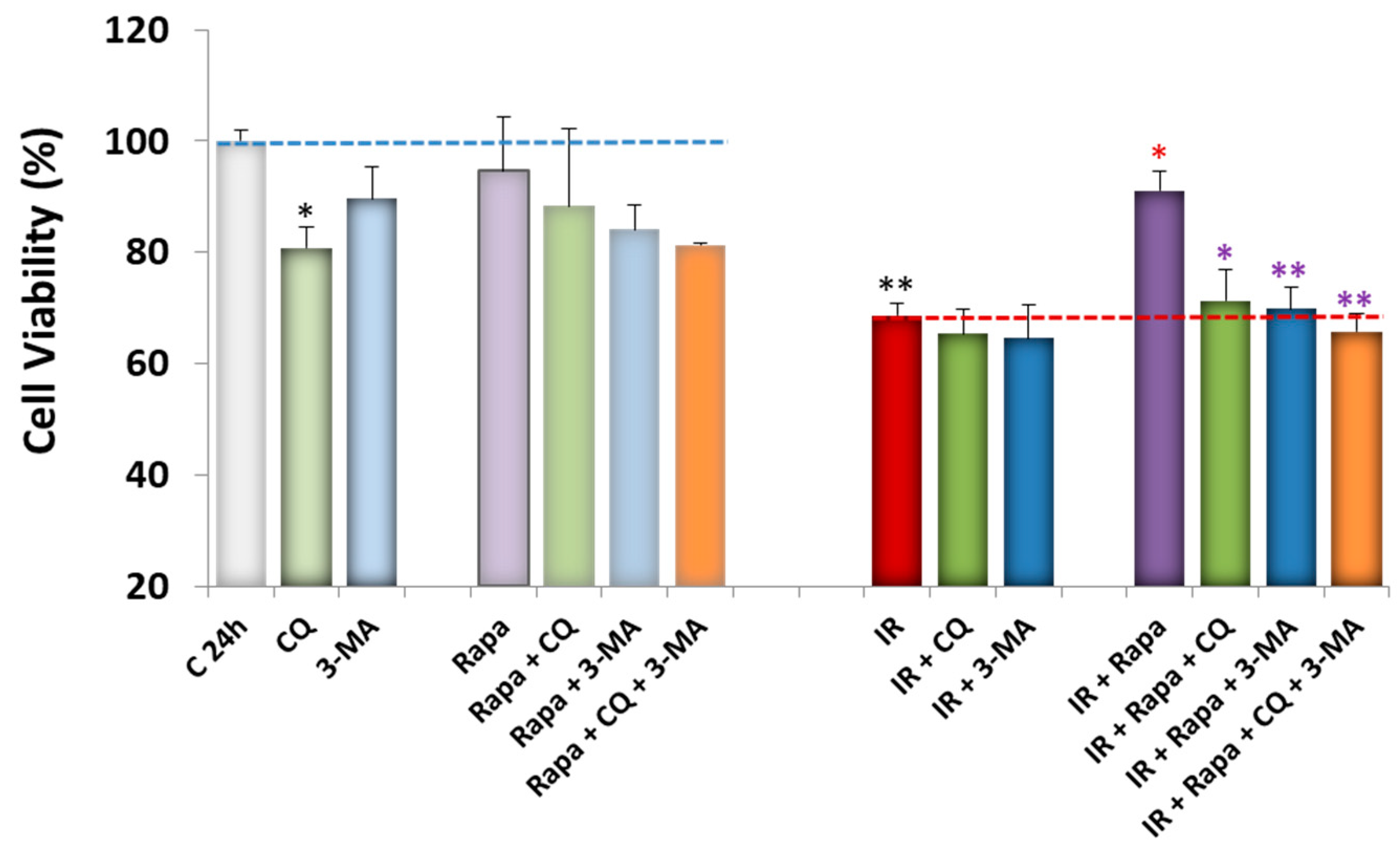 Antioxidants 13 00946 g003
